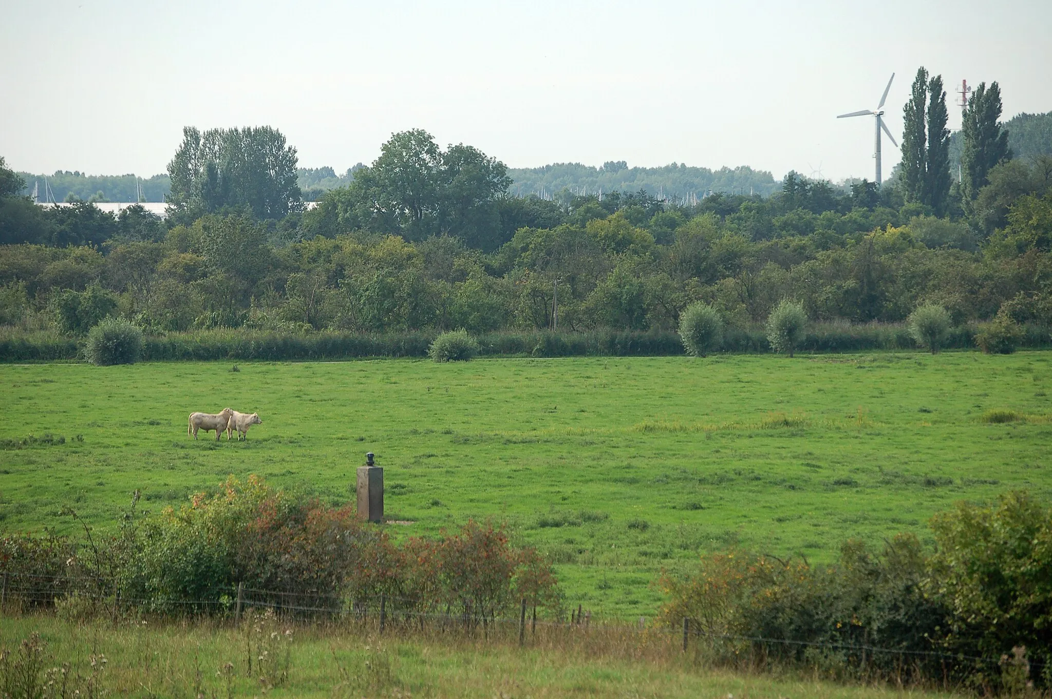 Photo showing: Der Standort der ehemaligen Hatzburg in Wedel