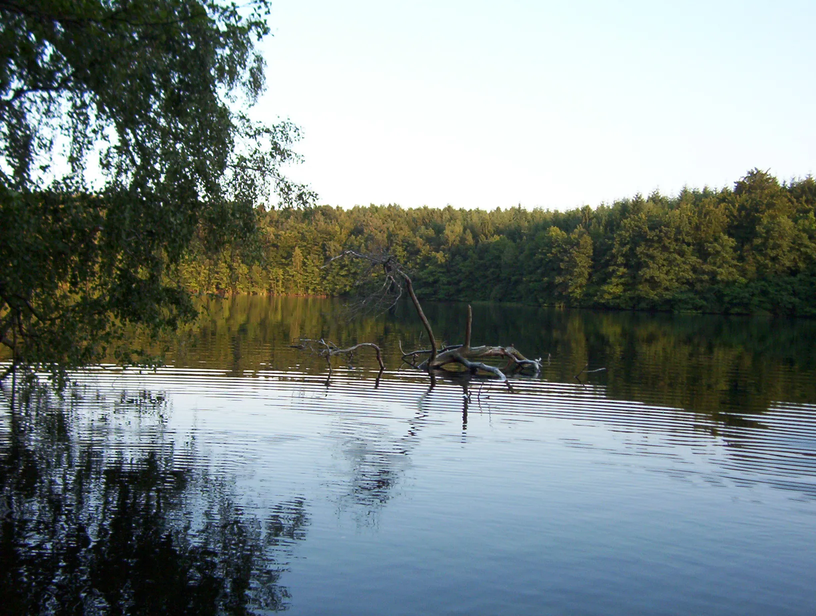 Photo showing: The Pinnsee lake near Mölln in Schleswig-Holstein, Germany