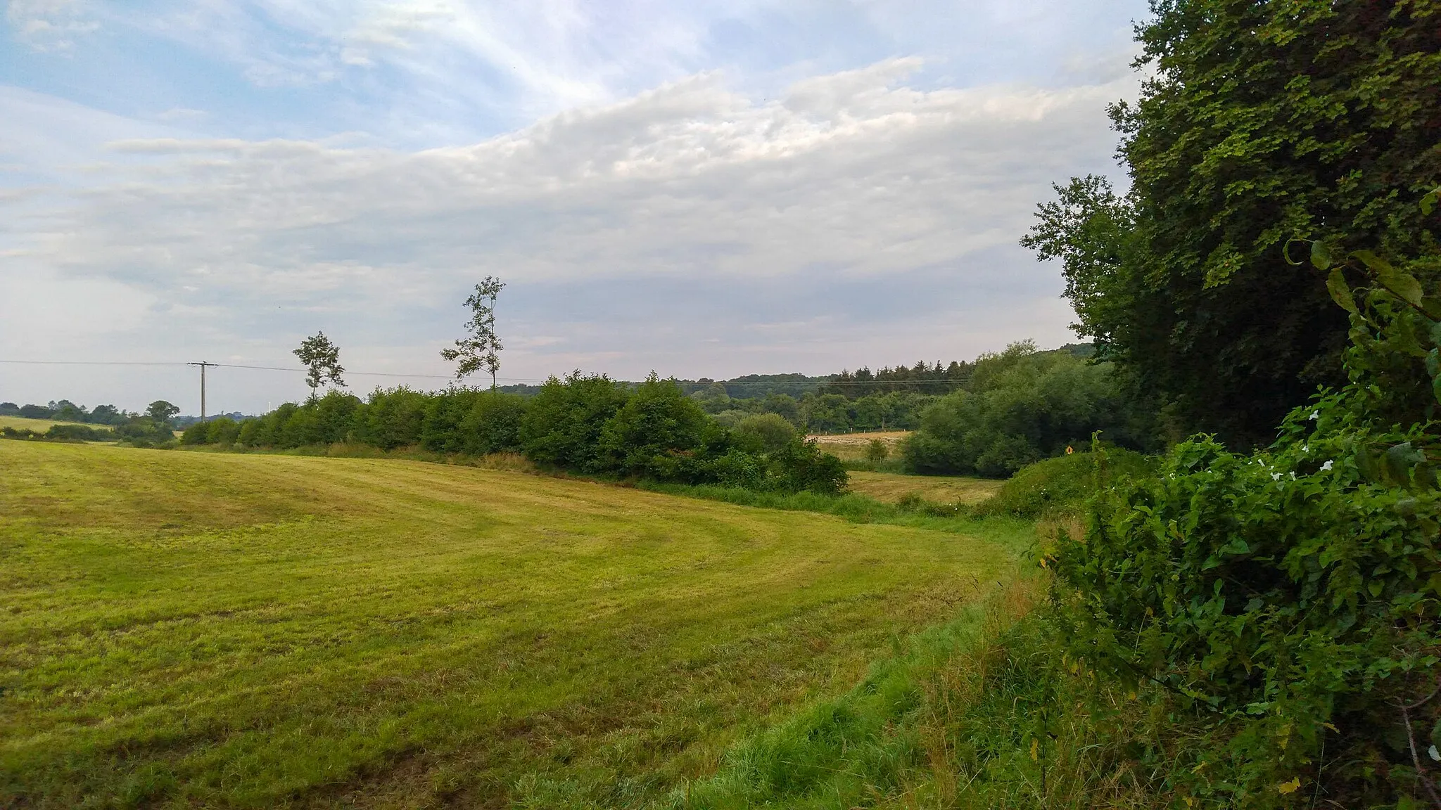 Photo showing: FFH-Gebiet Wellspanger-Loiter-Oxbek-System und angrenzende Wälder-TG-Fließgewässer