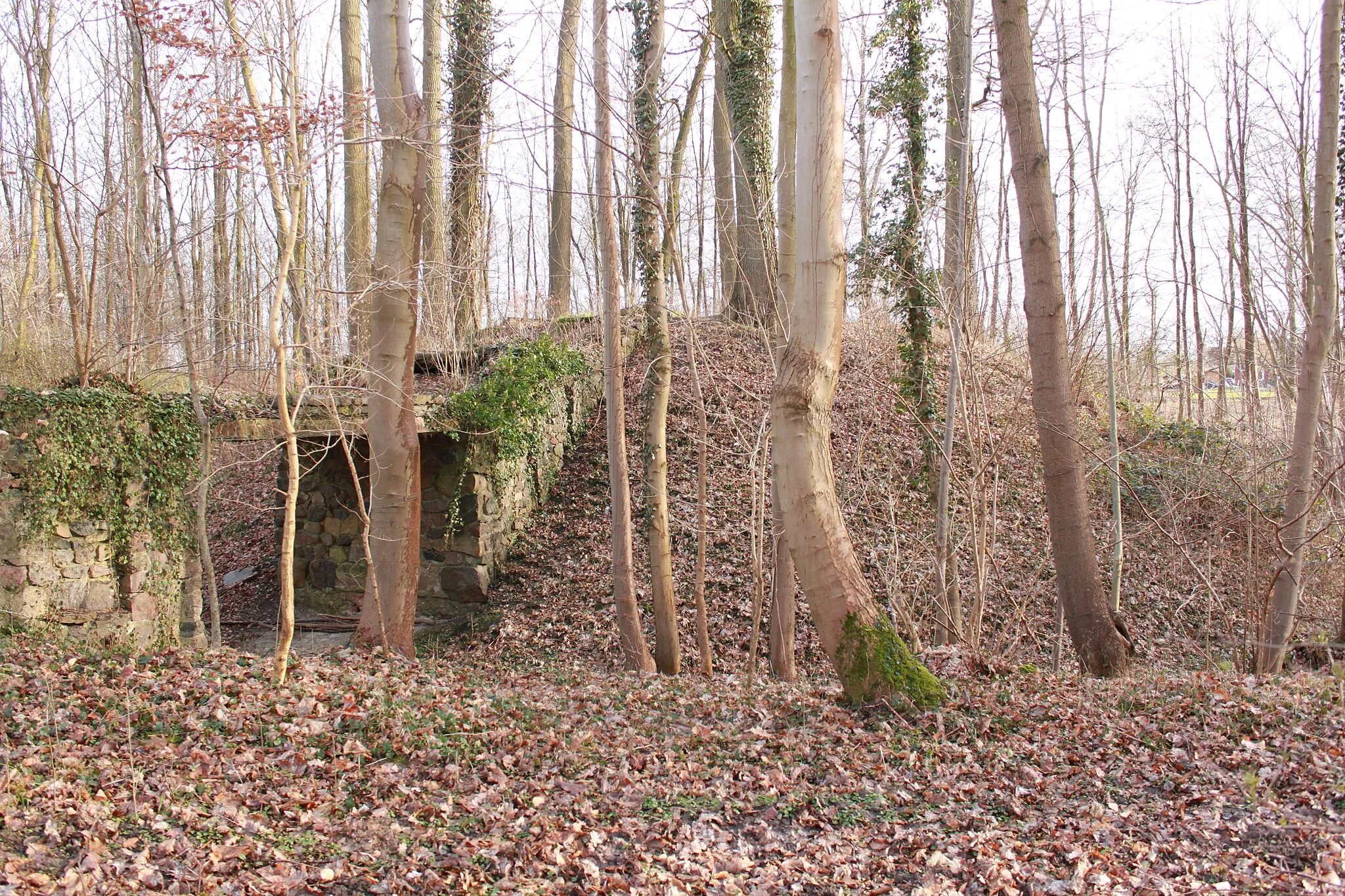 Photo showing: Mittelalterliche Motte Rethwisch nahe Preetz