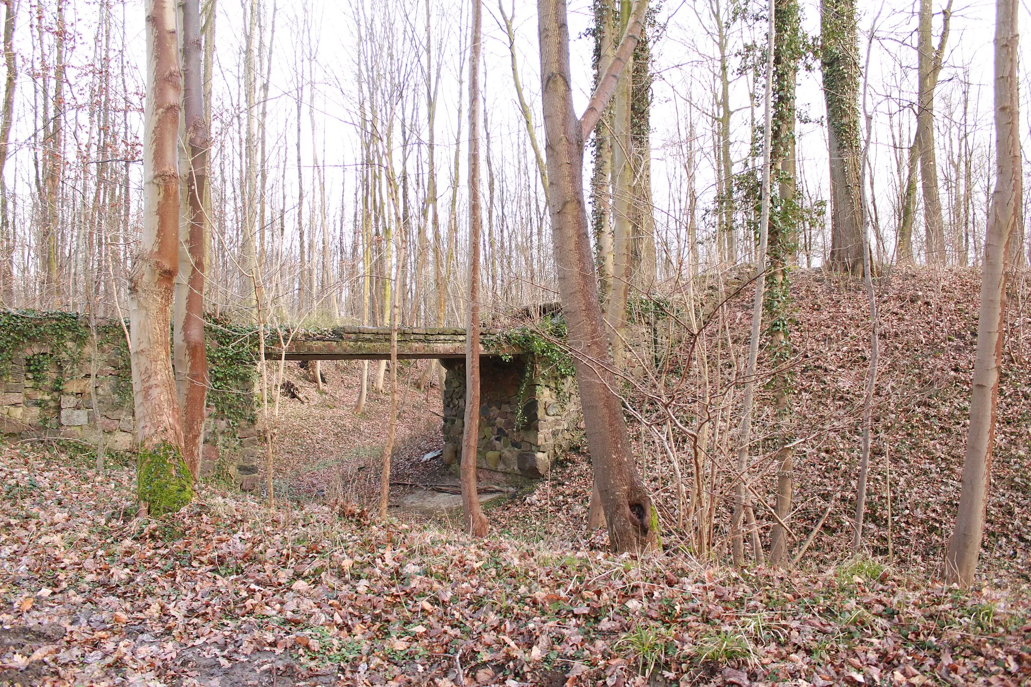 Photo showing: Mittelalterliche Motte Rethwisch nahe Preetz