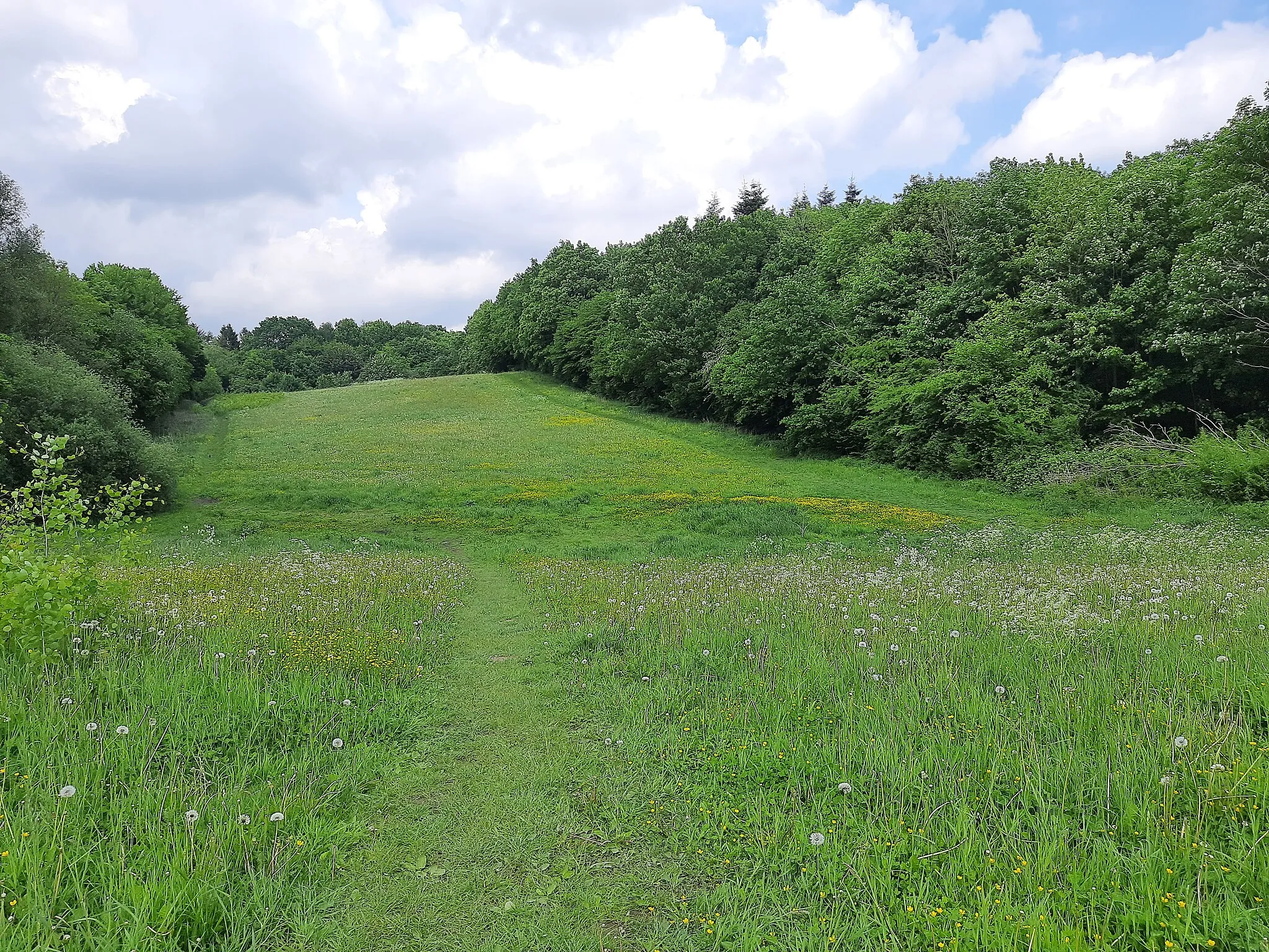 Photo showing: Langgezogene Wiese zwischen Tiergehege Uhlenkrog und Mühlenteich, Kiel-Russee