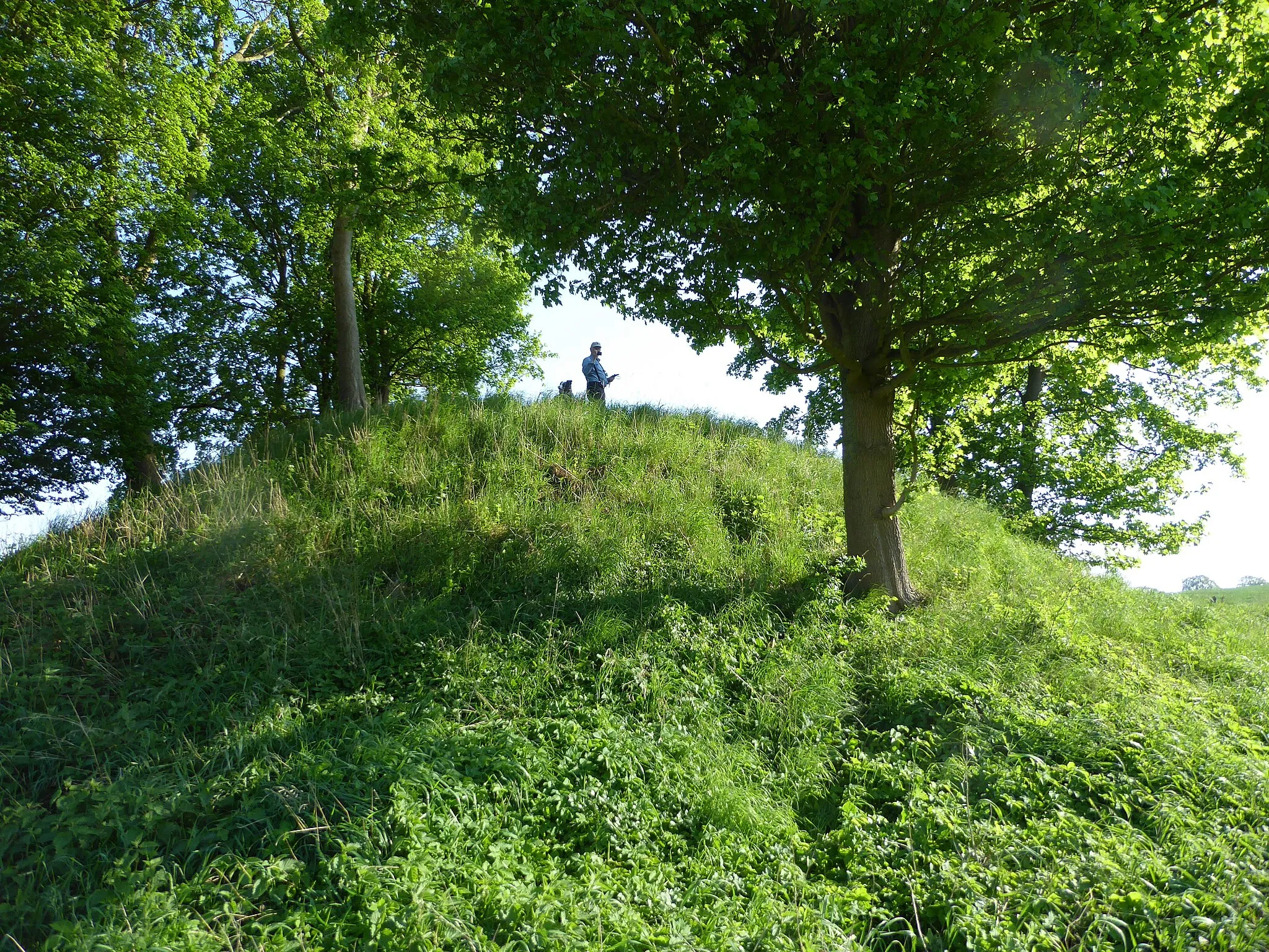 Photo showing: Döhnsdorfer Burghügel