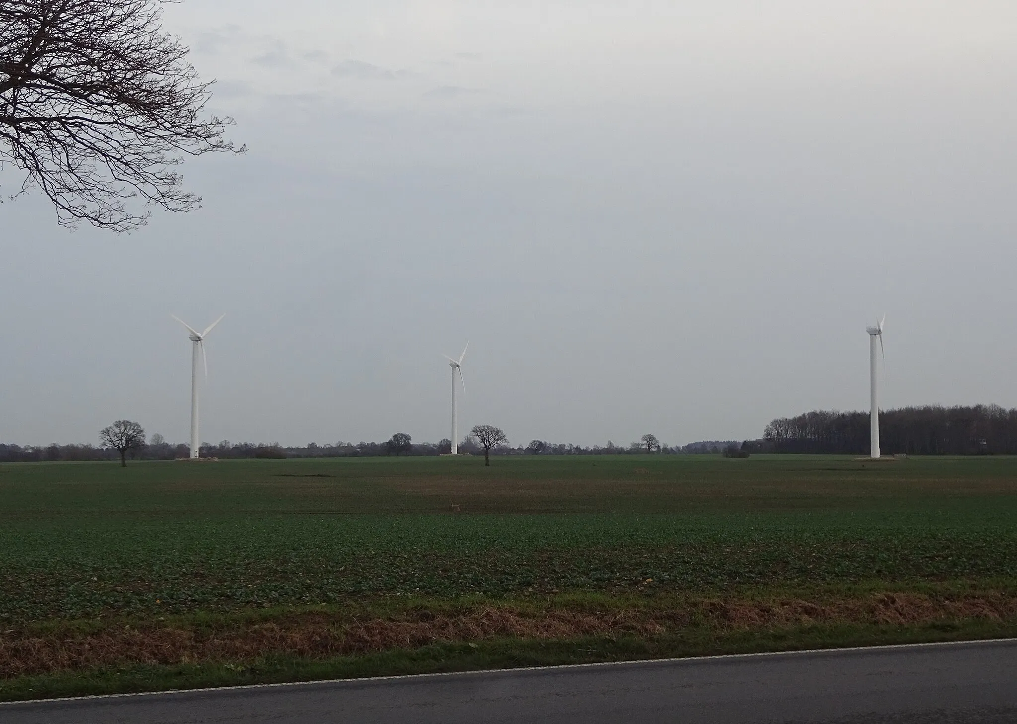Photo showing: Die drei Tacke-Windkraftanlagen in Rabenholz