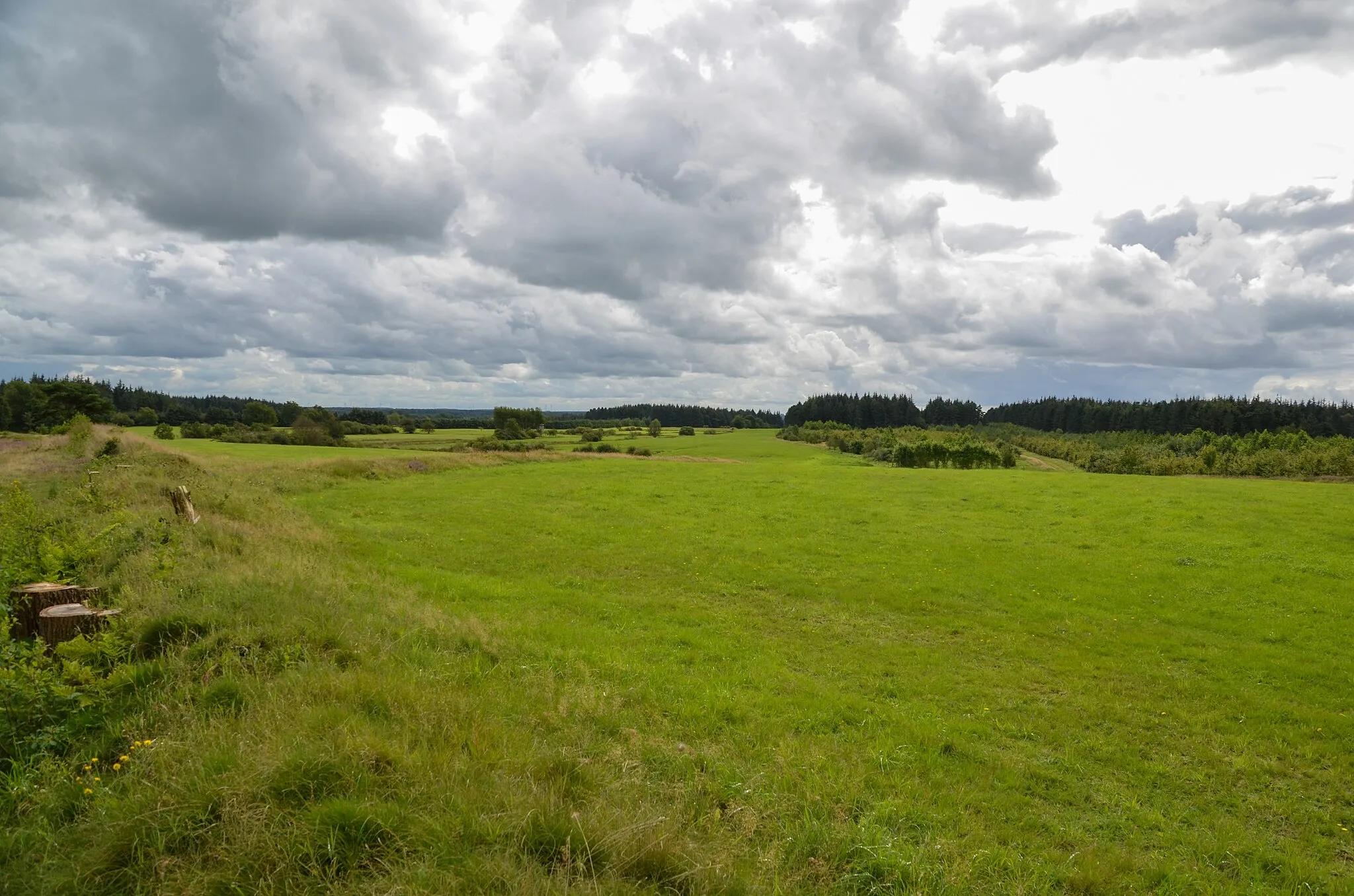 Photo showing: FFH-Gebiet Heide- und Magerrasenlandschaft am Ochsenweg und im Soholmfeld