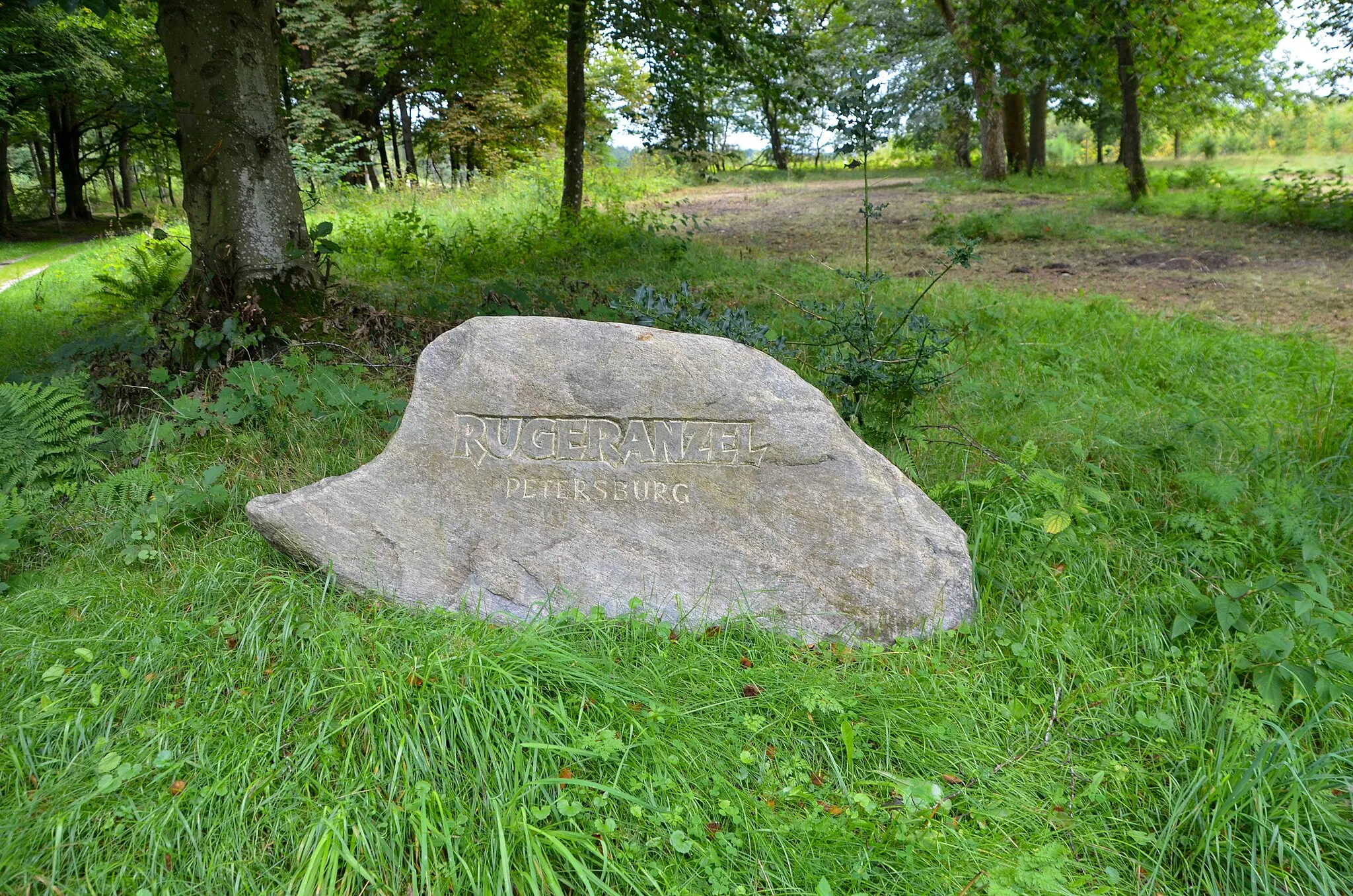 Photo showing: FFH-Gebiet Heide- und Magerrasenlandschaft am Ochsenweg und im Soholmfeld