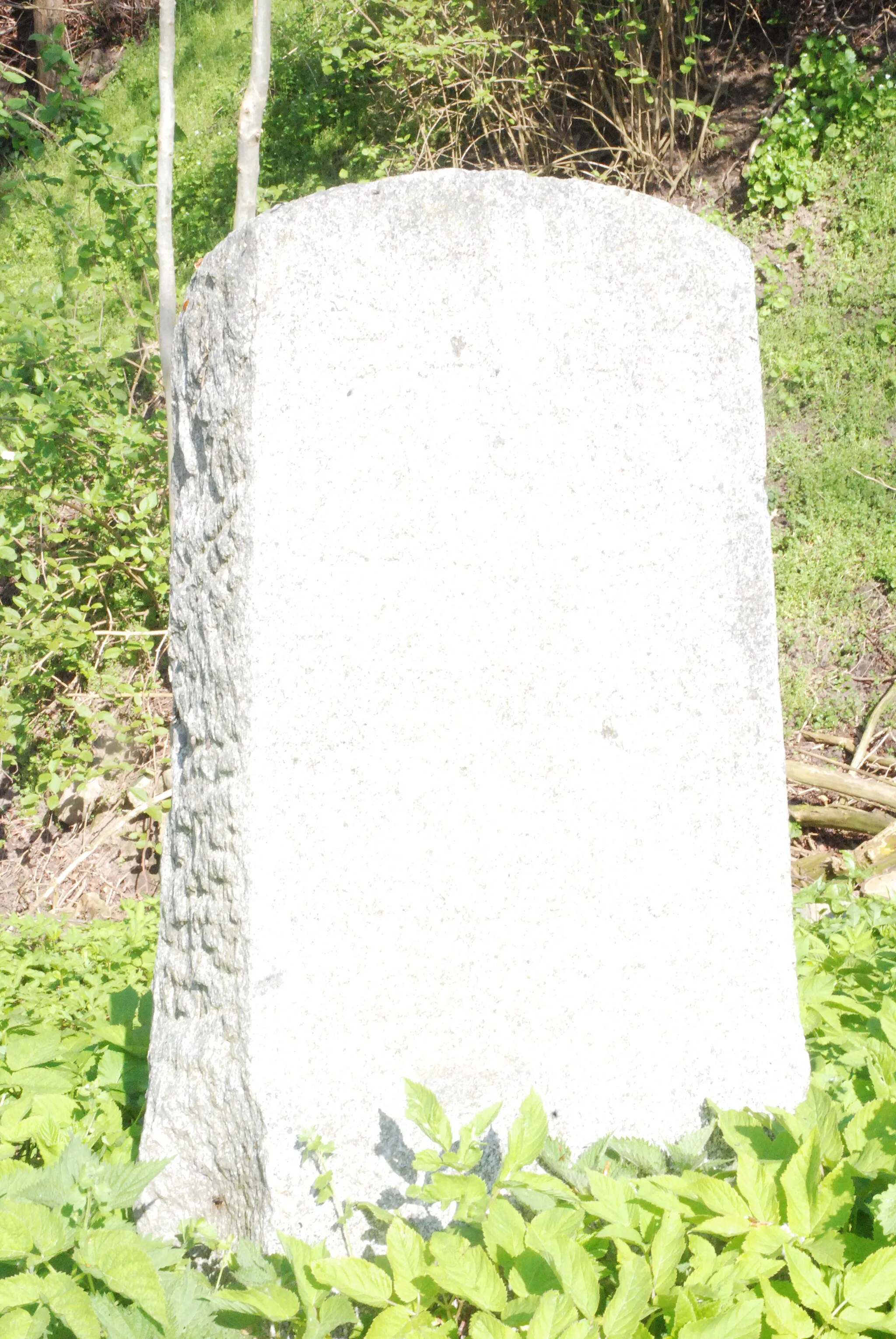 Photo showing: Historischer Grenzstein mit dem Lübecker Doppeladler, Scheidestein im Grenzverlauf nach 1865, Standorf: östlich an der Durchgangsstraße in Hollenbek über einem Graben, die Inschrift ist kaum noch zu erkennen