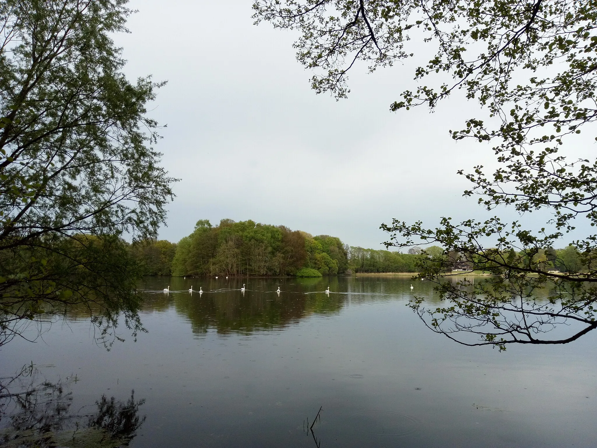 Photo showing: The "Großer Teich" (Big Lake) in Hoisdorf near Hamburg, Germany.
