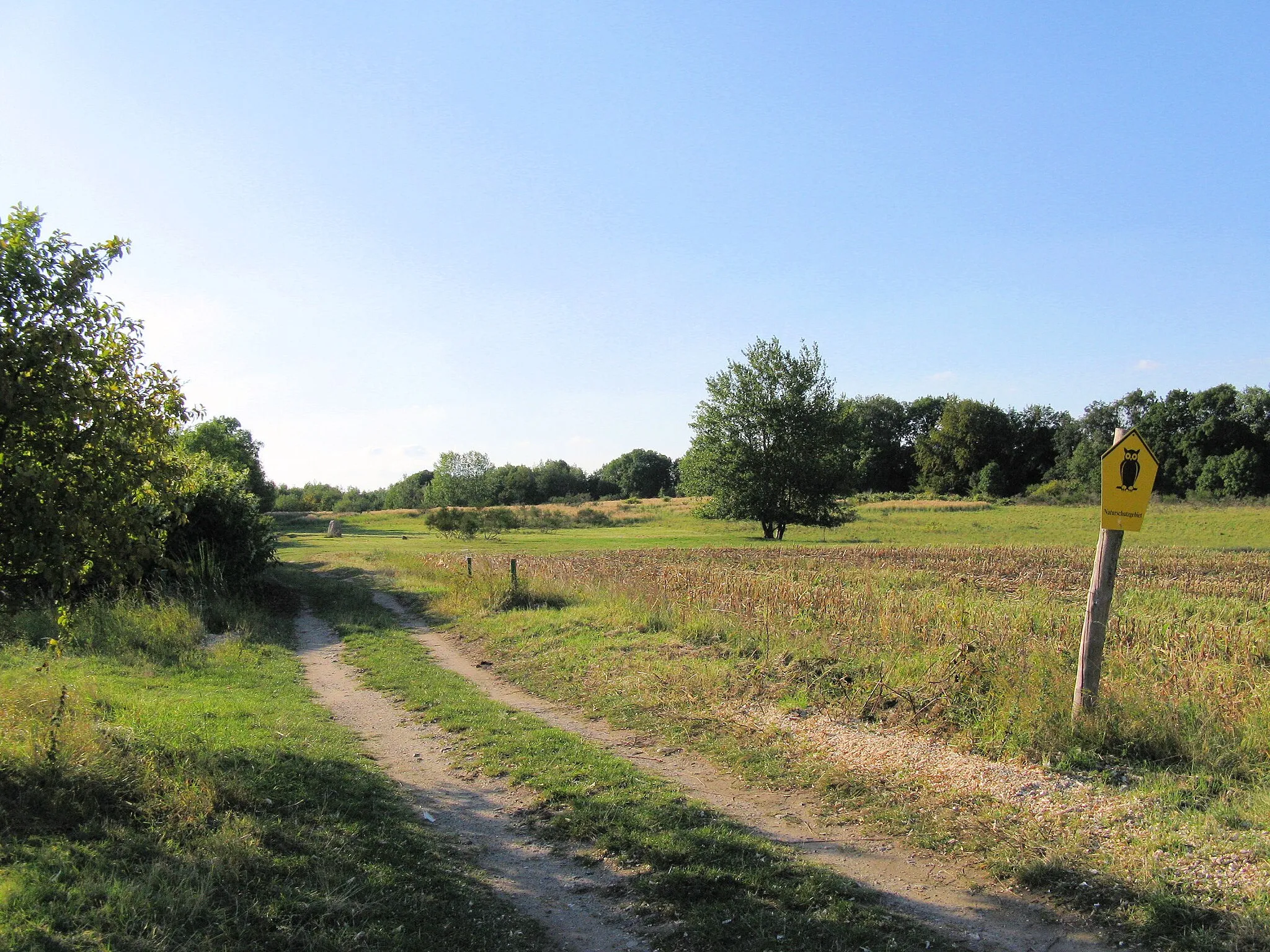 Photo showing: Road trough the abandoned village Lankow, disctrict Nordwestmecklenburg, Mecklenburg-Vorpommern, Germany