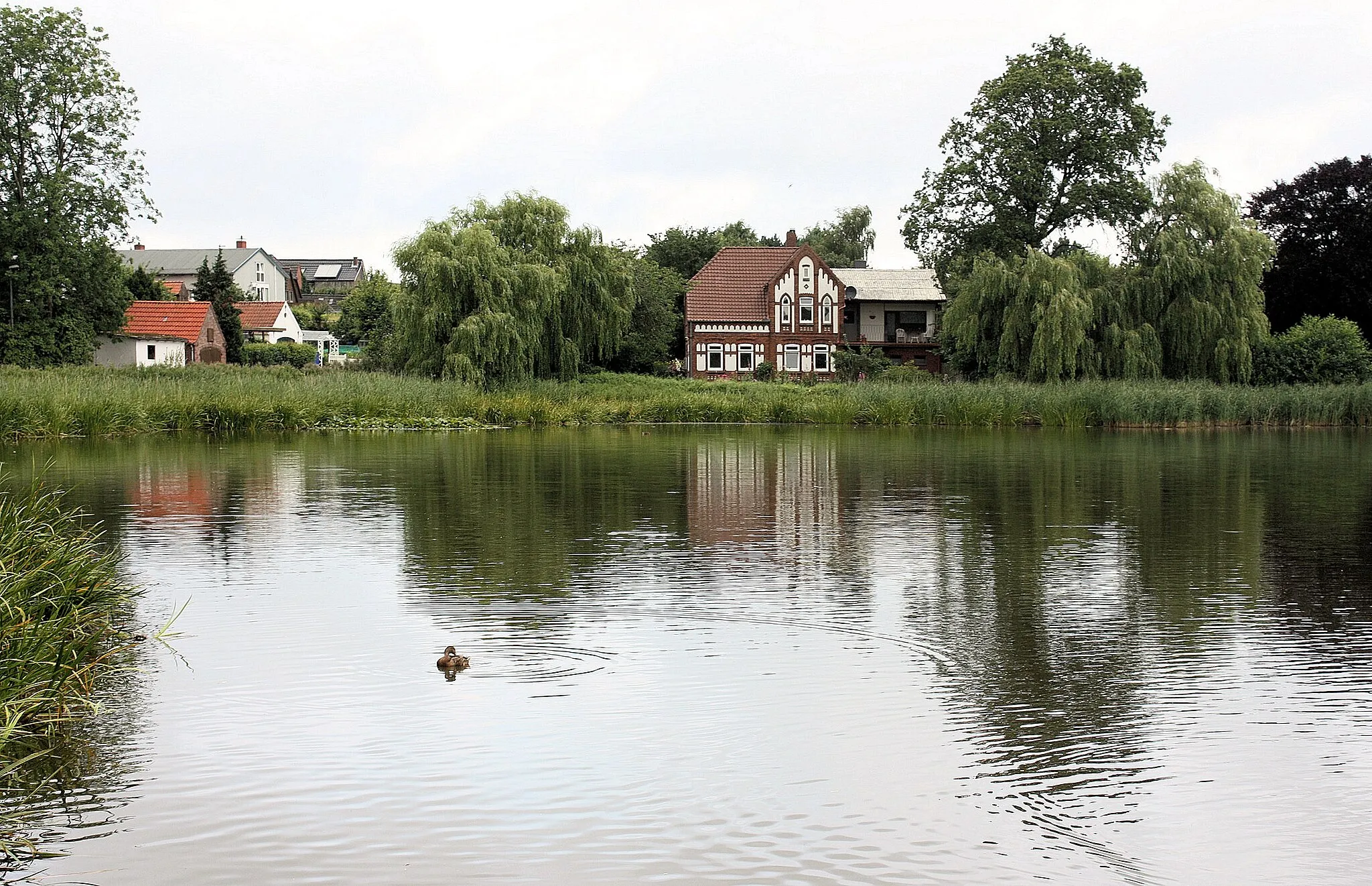 Photo showing: Bredstedt, the pond "Mühlenteich", view to the house 2 Parkstraße