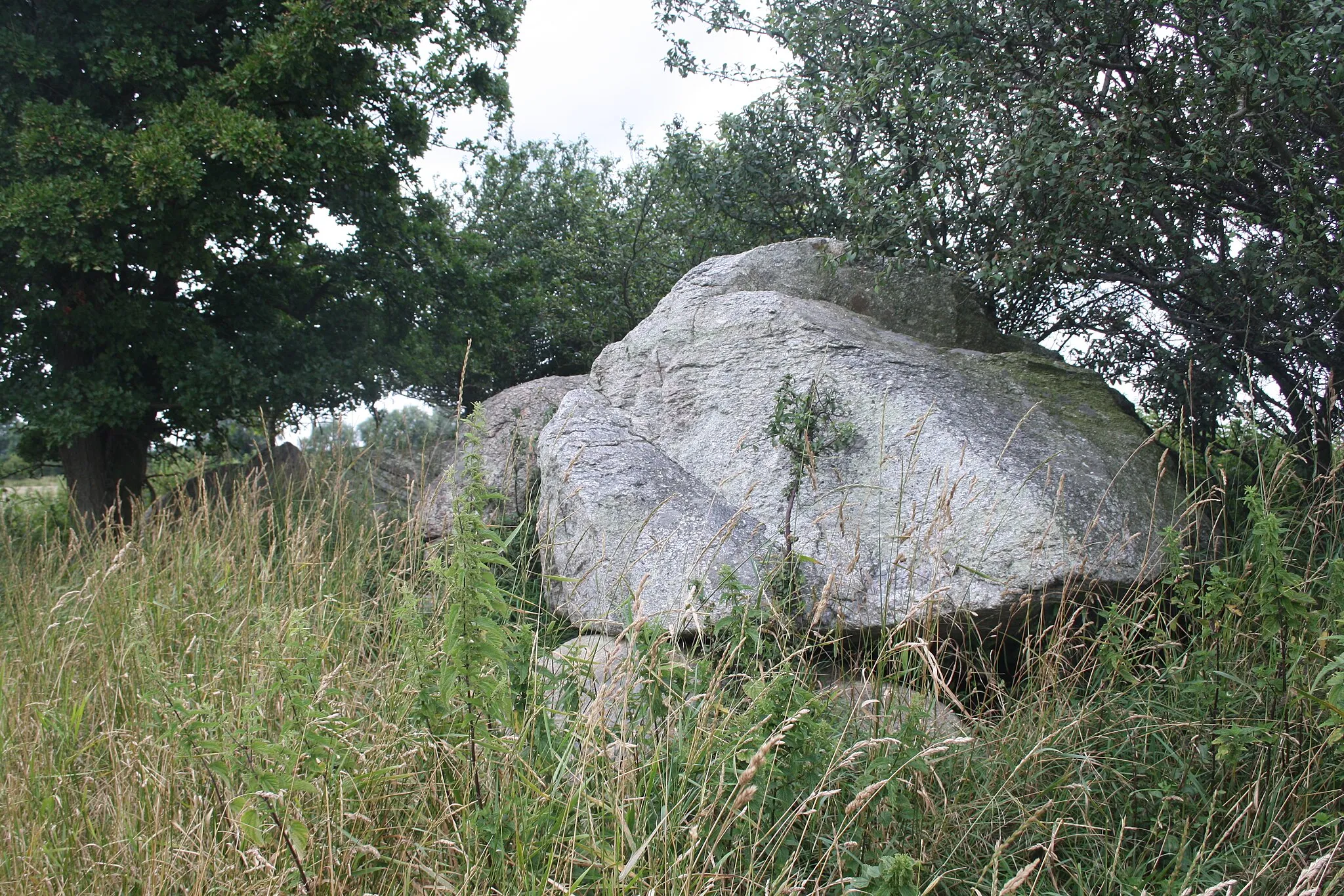 Photo showing: de:Großsteingrab Staberdorf Sprockhoff-Nummer 256