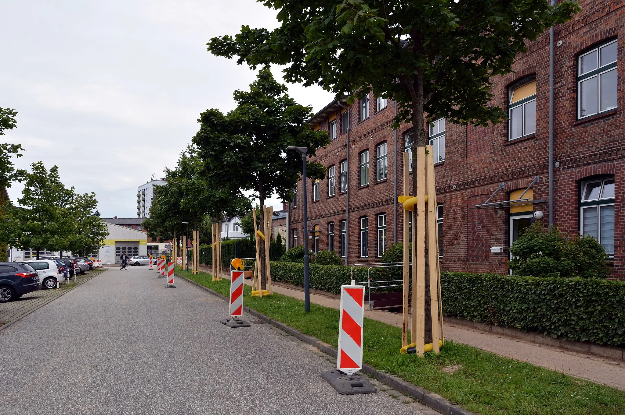 Photo showing: Die Bäume wurden durch Bretter vor Beschädigungen während Bauarbeiten an der Straße geschützt.
