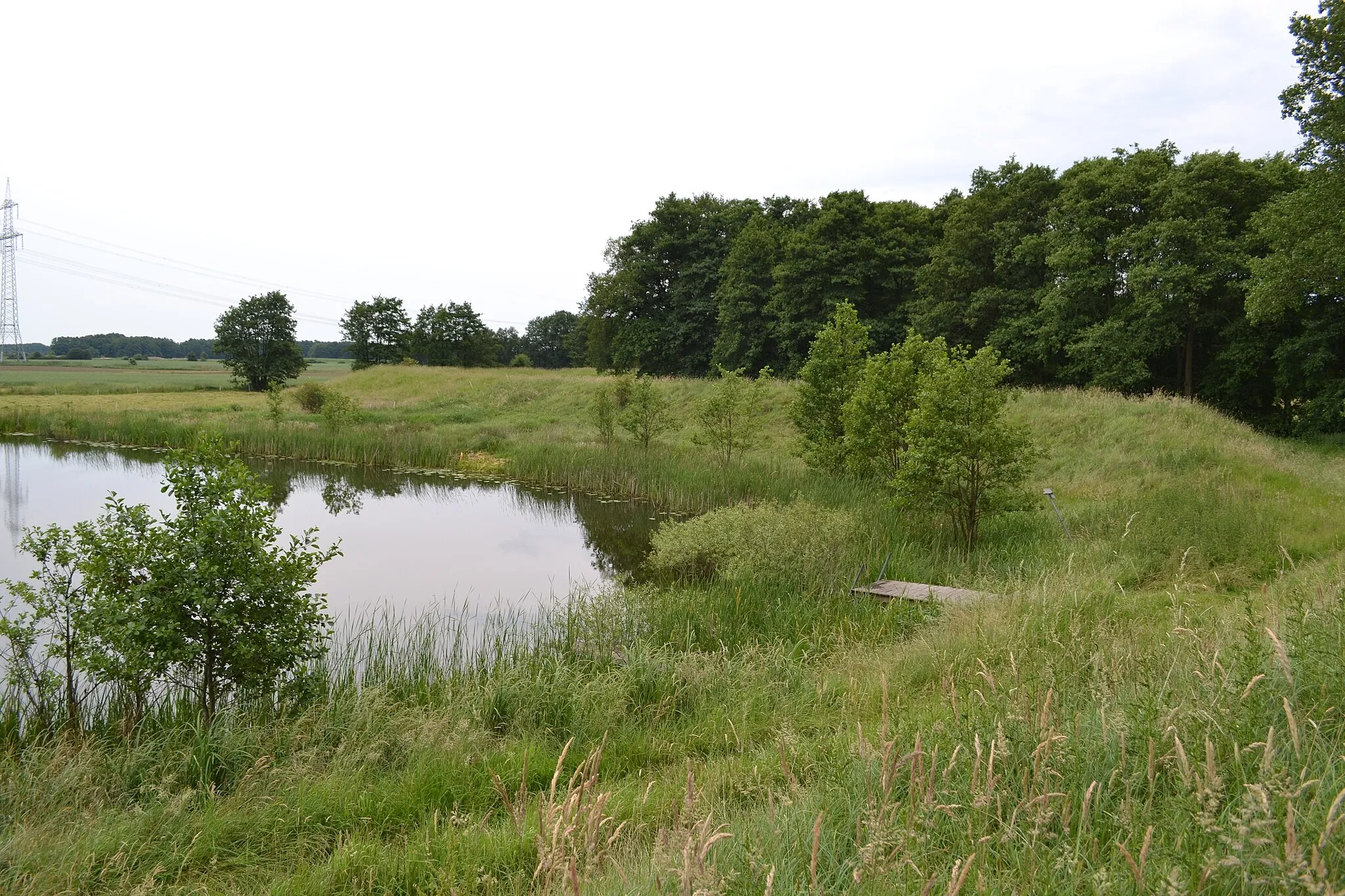 Photo showing: Historischer Ilaudeich/Stilkensdeich mit Brack