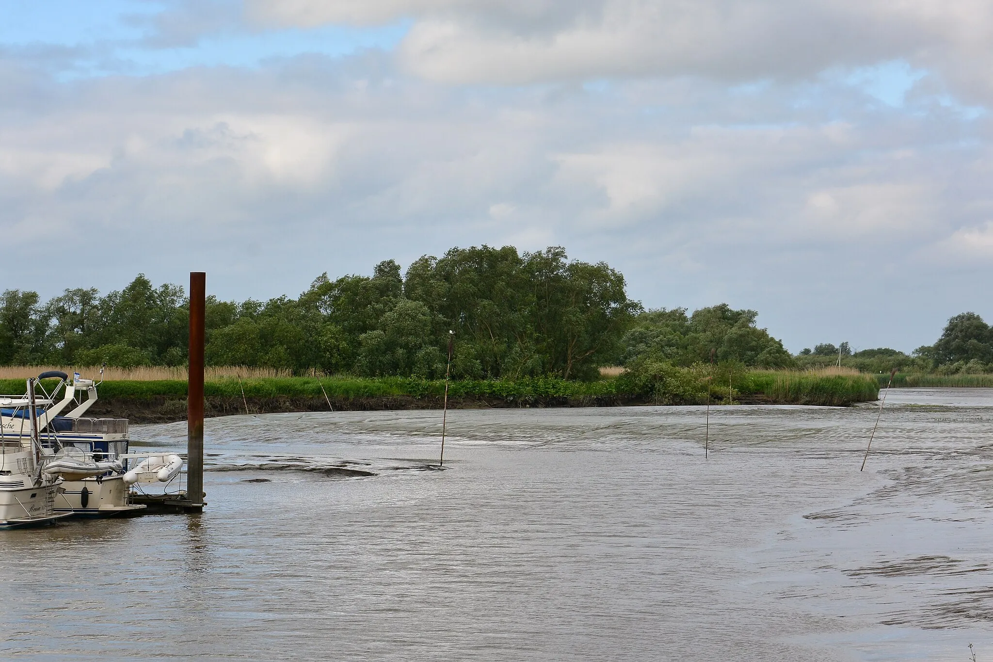 Photo showing: Blick über den Haseldorfer Hafen im Landschaftsschutzgebiet Pinneberger Elbmarschen (LSG04) und/oder das Naturschutzgebiet Haseldorfer Binnenelbe mit Elbvorland.