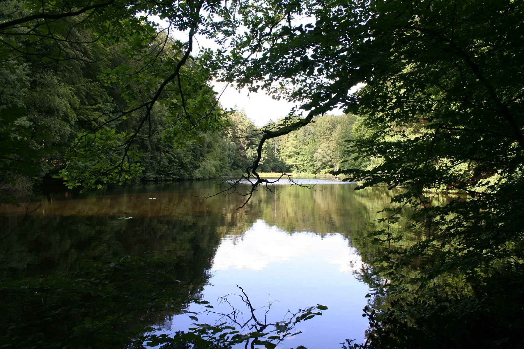 Photo showing: Mittelteich lake in Hahnheide forest near Trittau