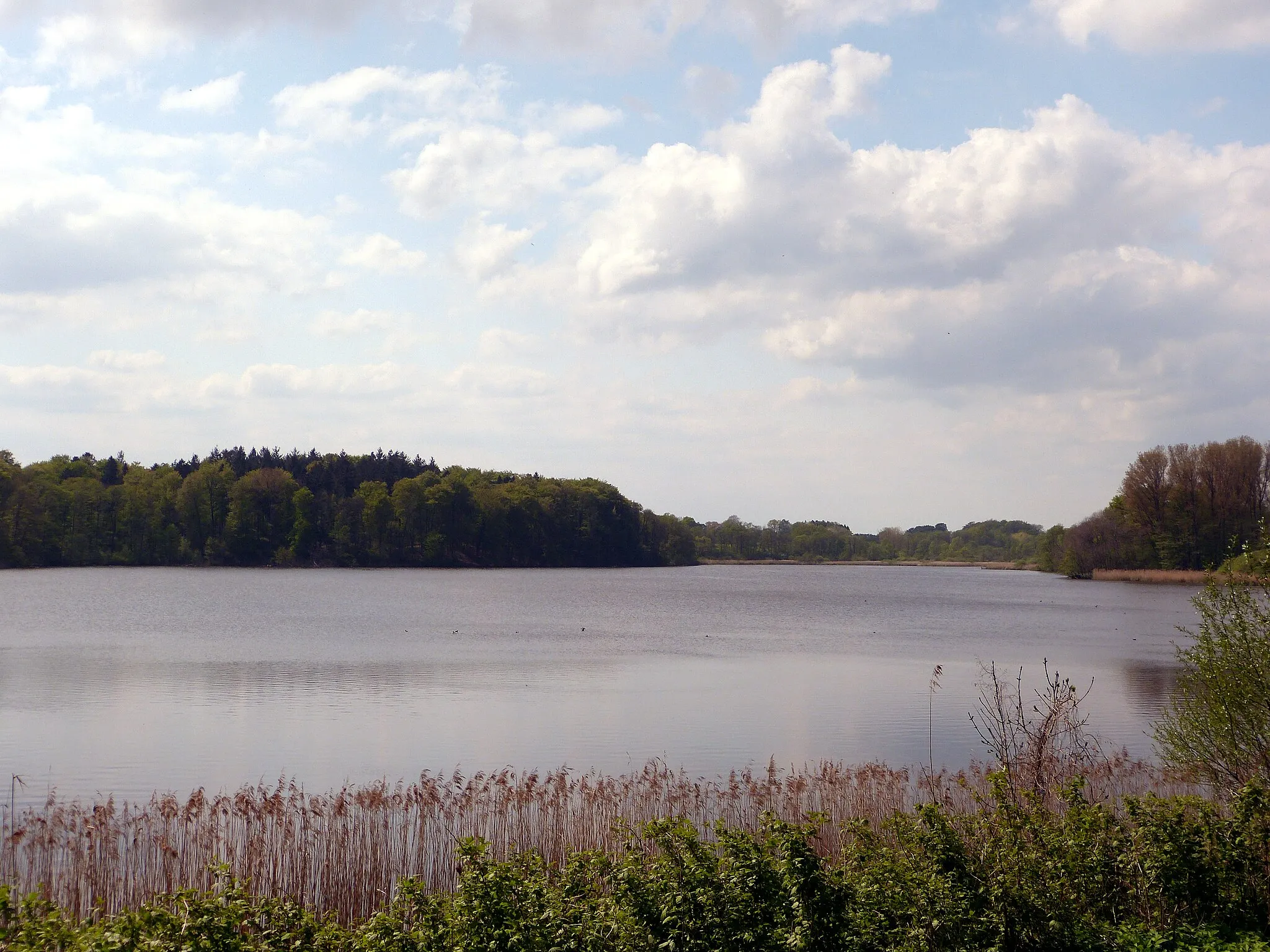 Photo showing: Grabauer See, fotografiert von der Nordostseite.