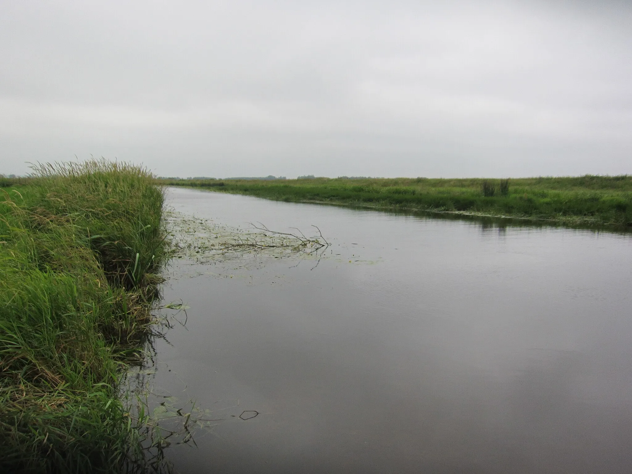 Photo showing: Fluss "Treene" in Dörpstedt