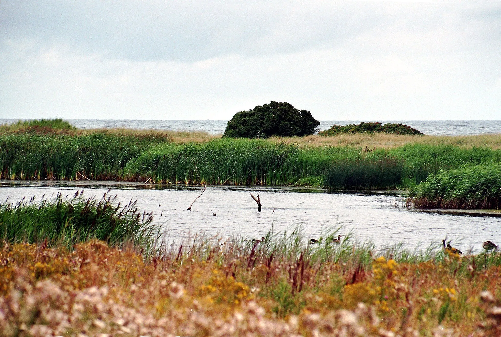 Photo showing: "Marzkamp" coastal lake in Schwartbuck, Kreis Plön, Schleswig-Holstein, Germany