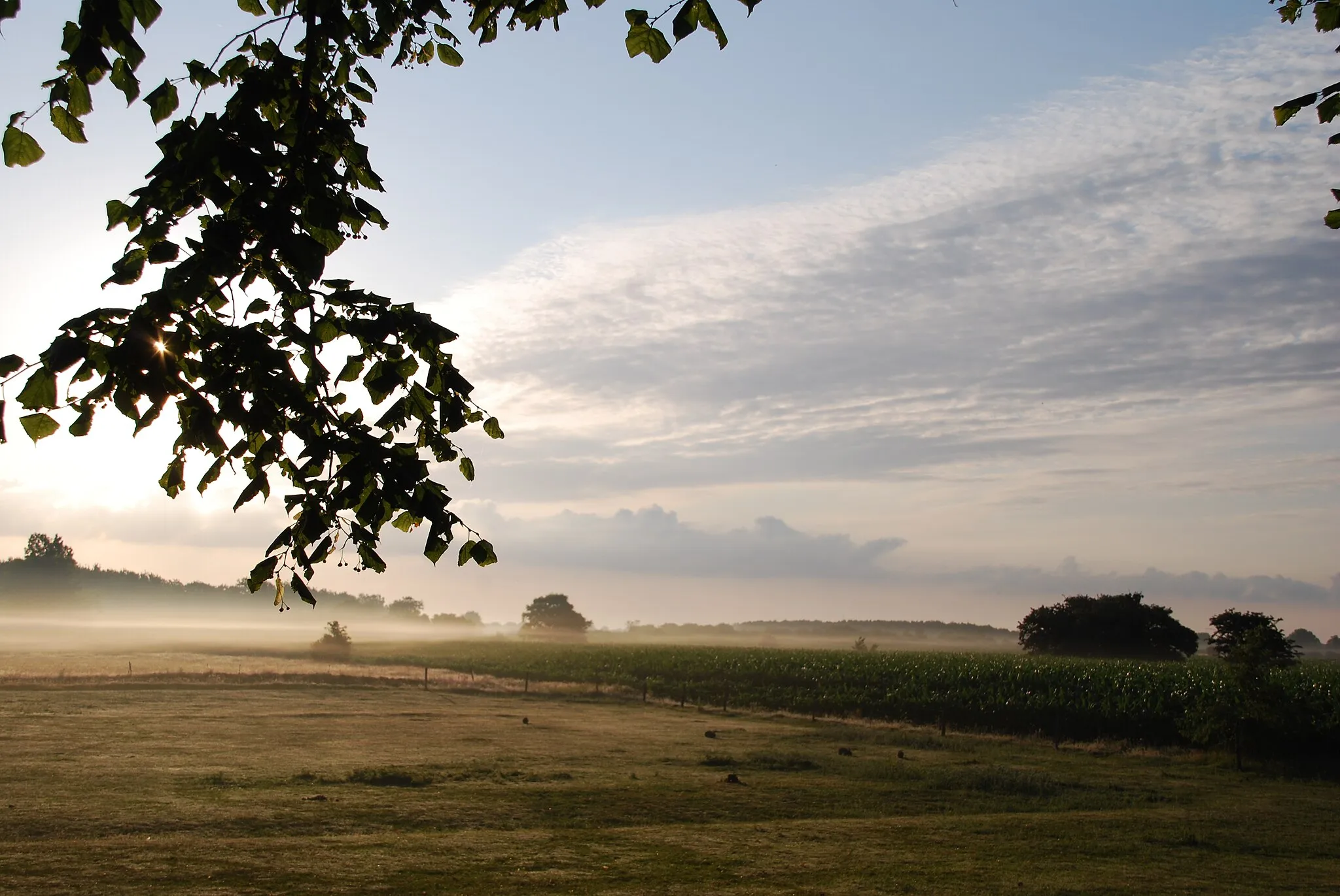 Photo showing: Nieblum (Foehr): Sunrise in the meadows