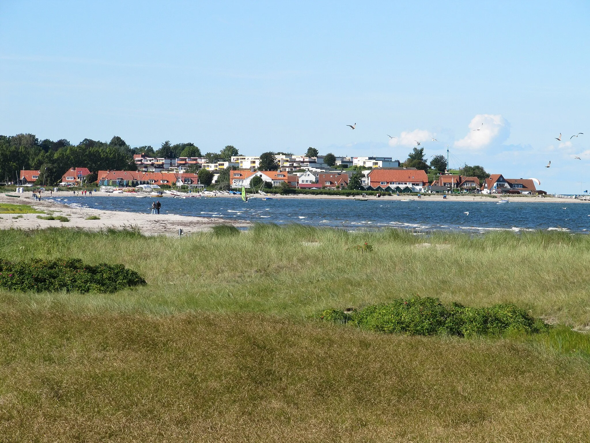 Photo showing: The Baltic seaside health spa of Hohwacht, Schleswig-Holstein, Germany. Viewed from the beach near the nature reserve to the southeast.