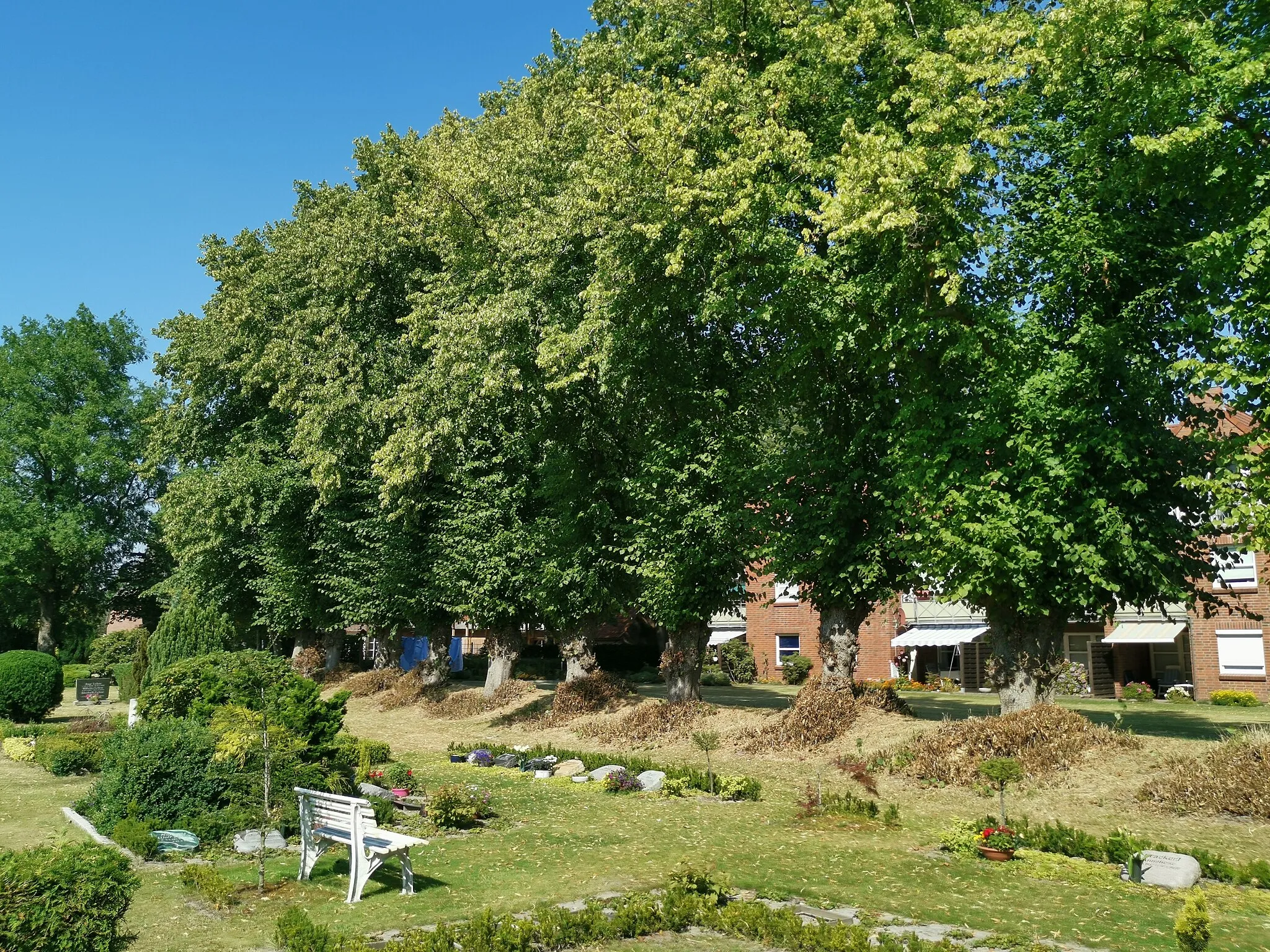 Photo showing: Kirche und Kirchhof St. Michaelelis-Kirche in Sankt Michaelisdonn