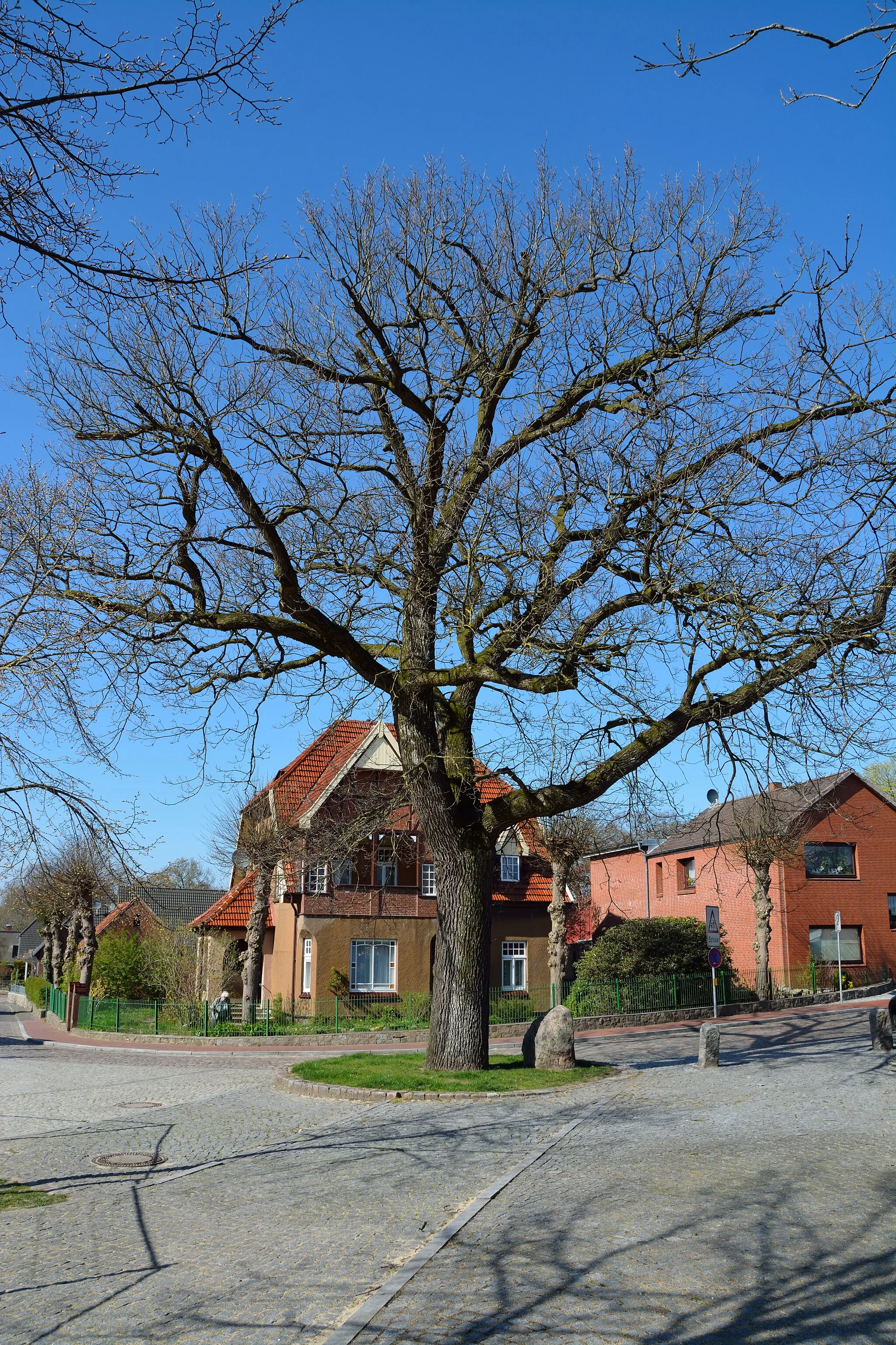 Photo showing: Die Friedenseiche in Hohenaspe im April 2015.