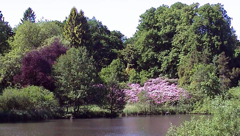 Photo showing: Arboretum Lehmkuhlen