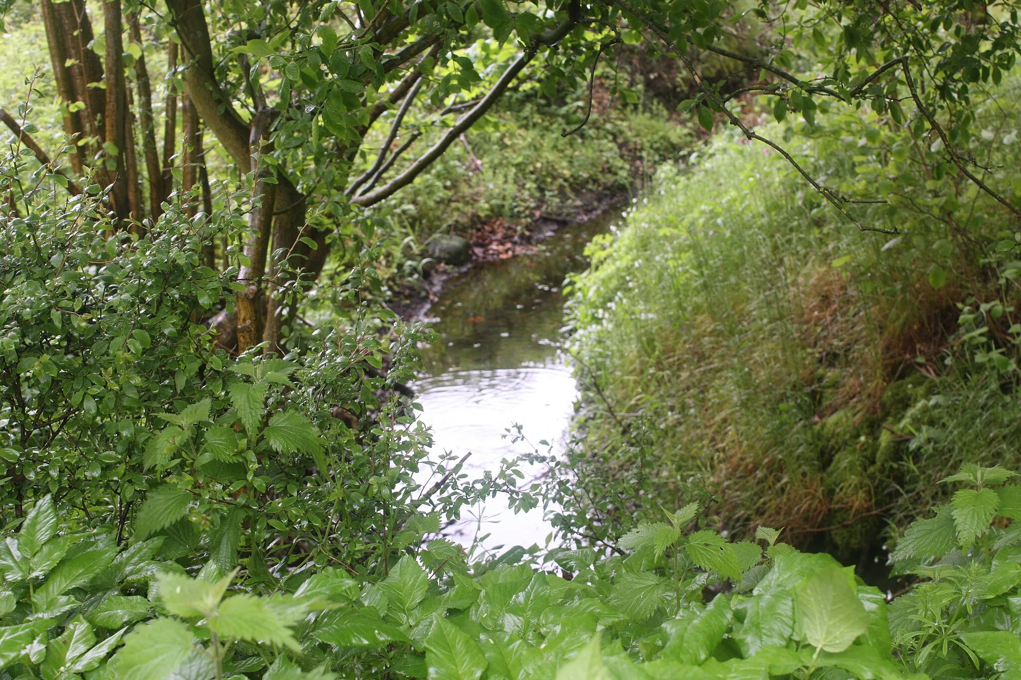 Photo showing: Auf dem einen Bild sieht man einen Wassergraben im Felmer Moor.