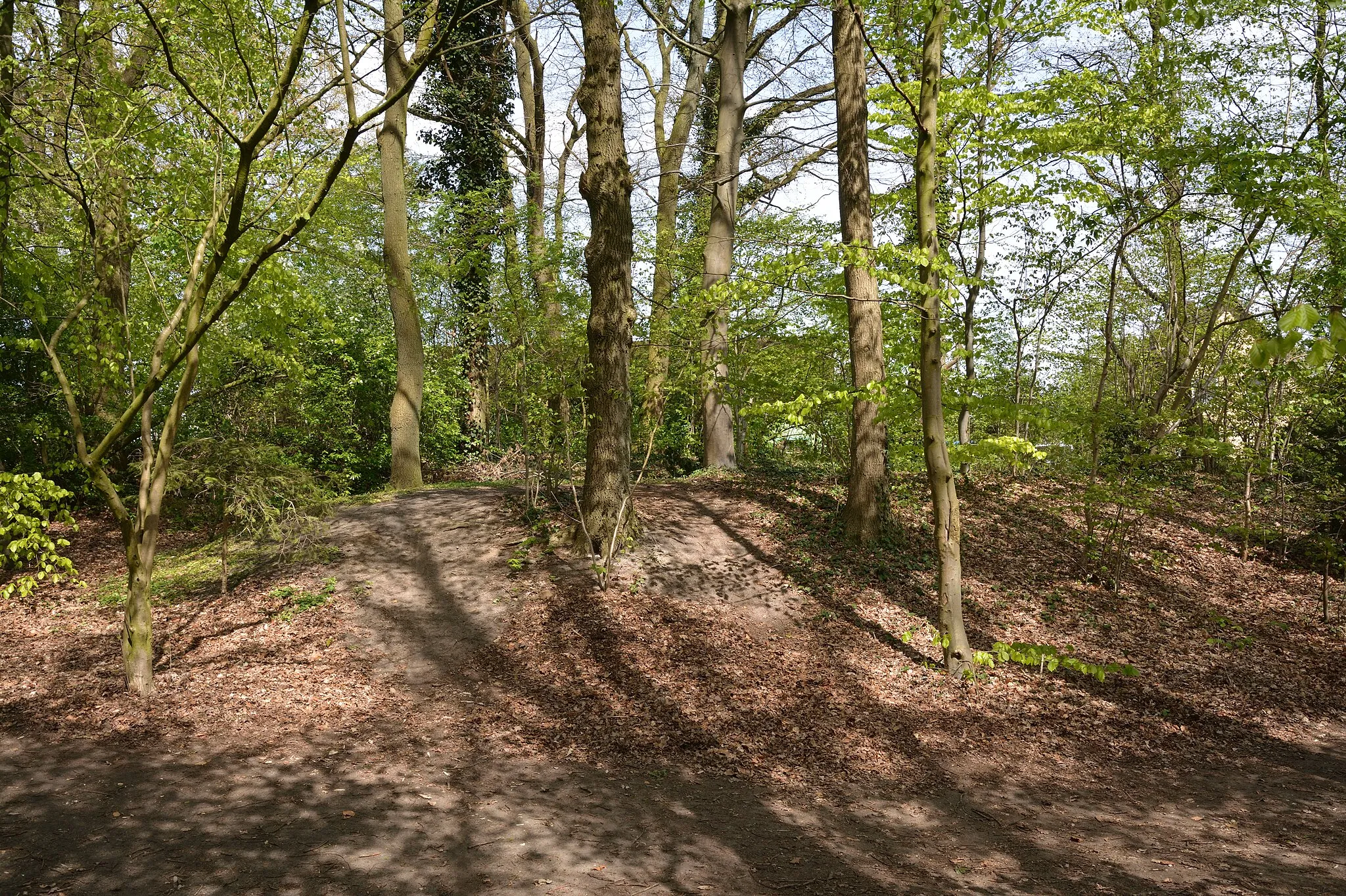 Photo showing: Der Dolmen in Wittenborn