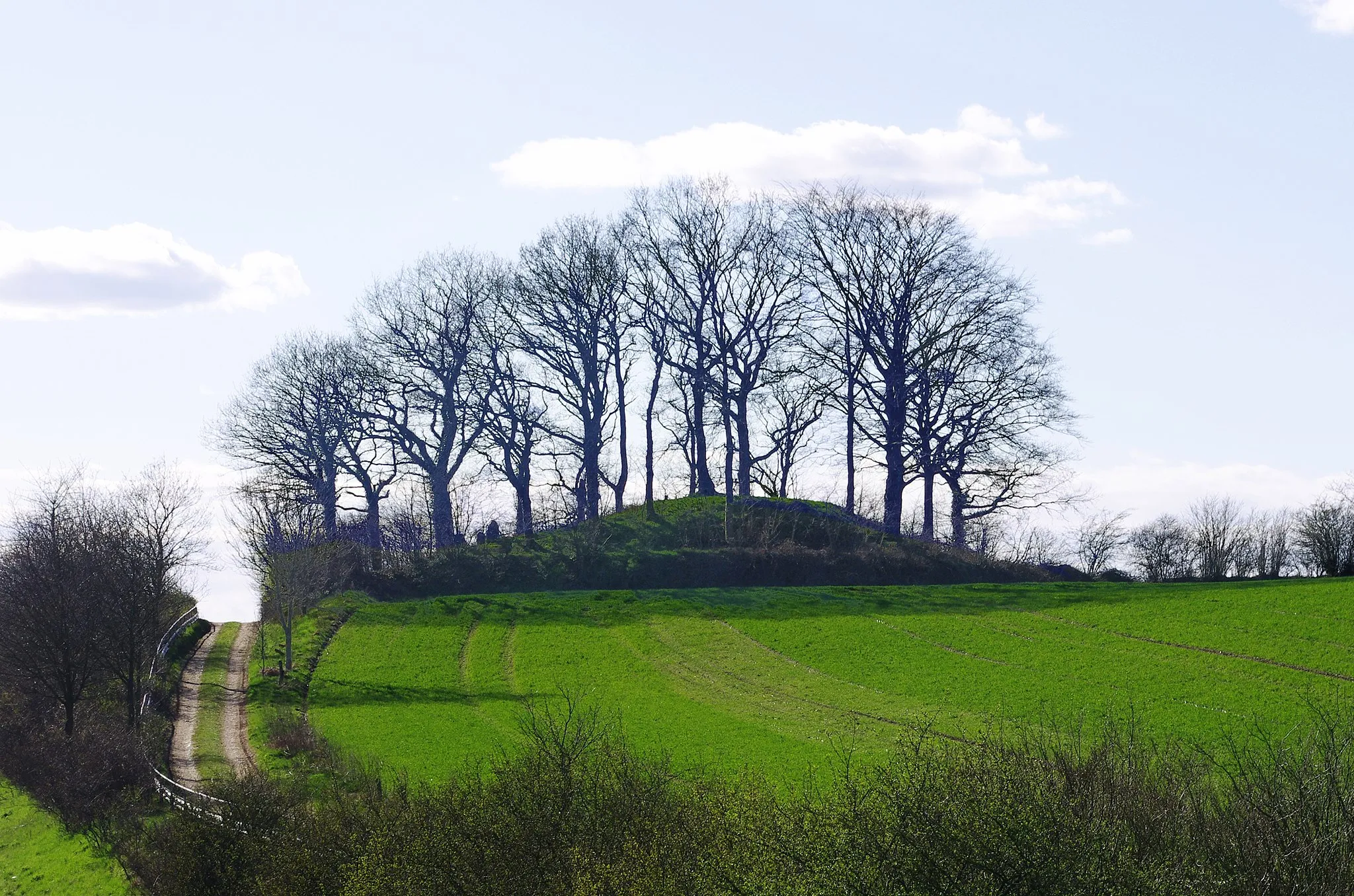 Photo showing: Brautberg in Bordesholm, Ansicht von Osten im April 2012