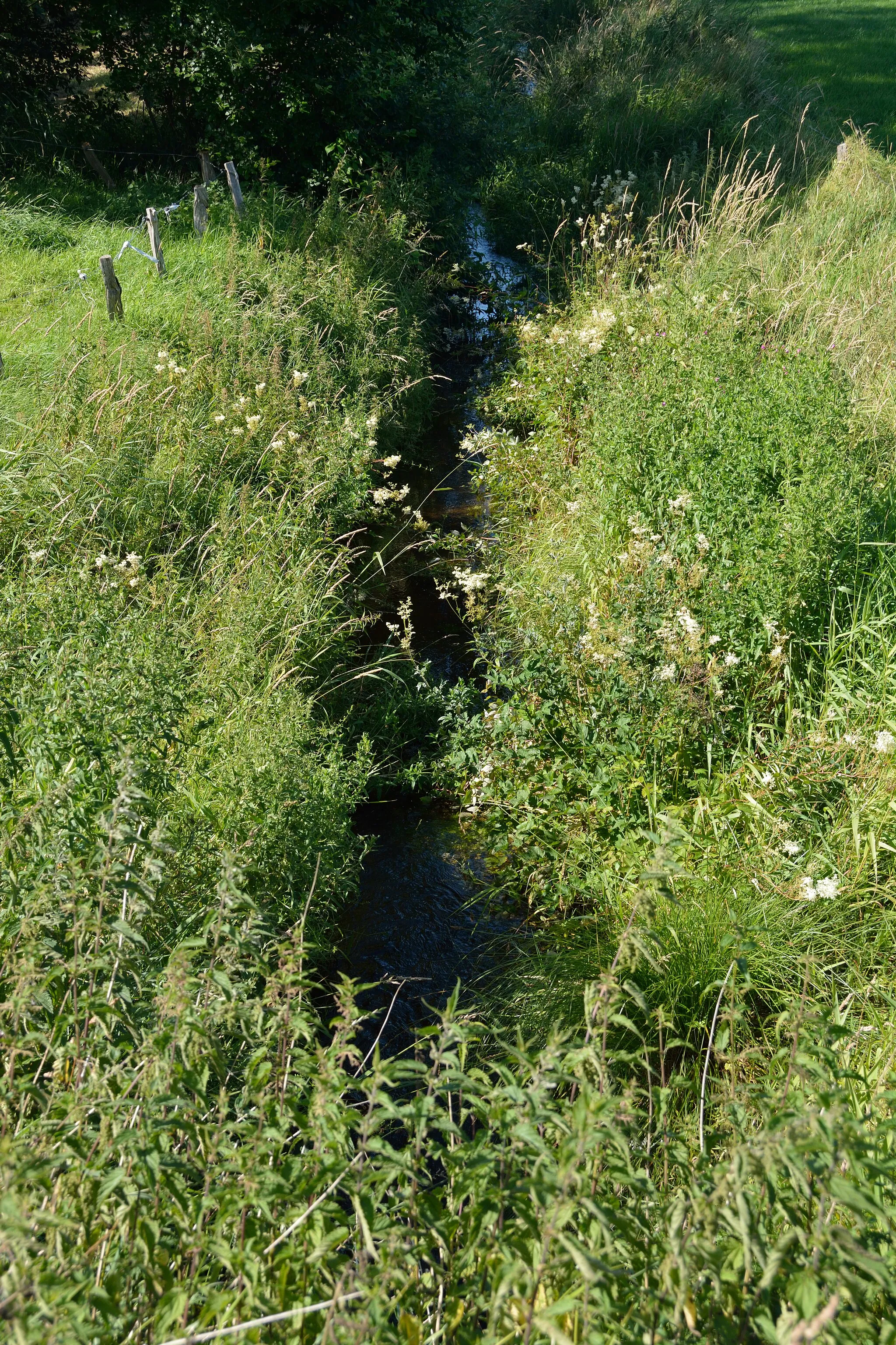 Photo showing: Fotos der Hanerau.

In Thaden ist die Hanerau noch ein sehr kleiner Bach.