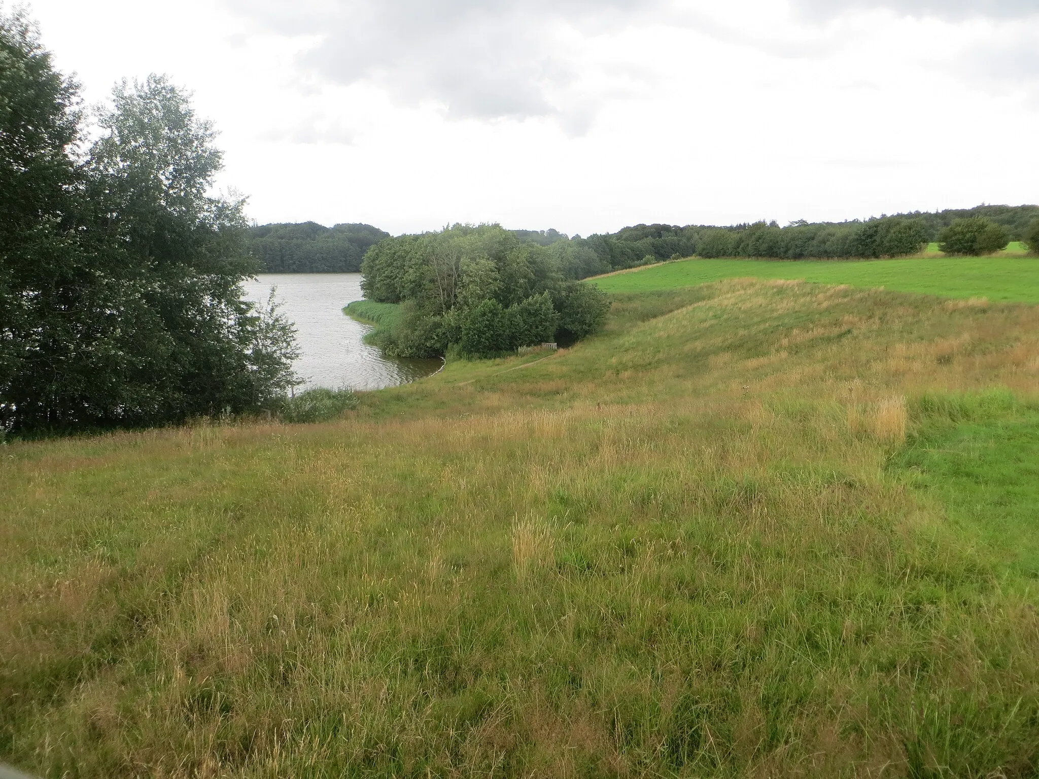 Photo showing: Sankelmarker See (östlich, Juli 2017)