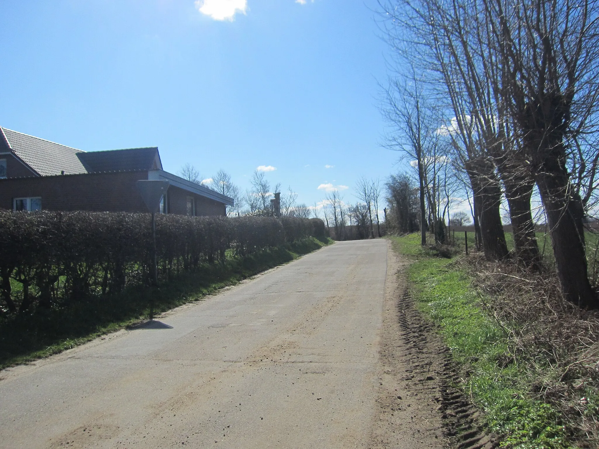 Photo showing: Street "Schönhorster Weg" in Boksee