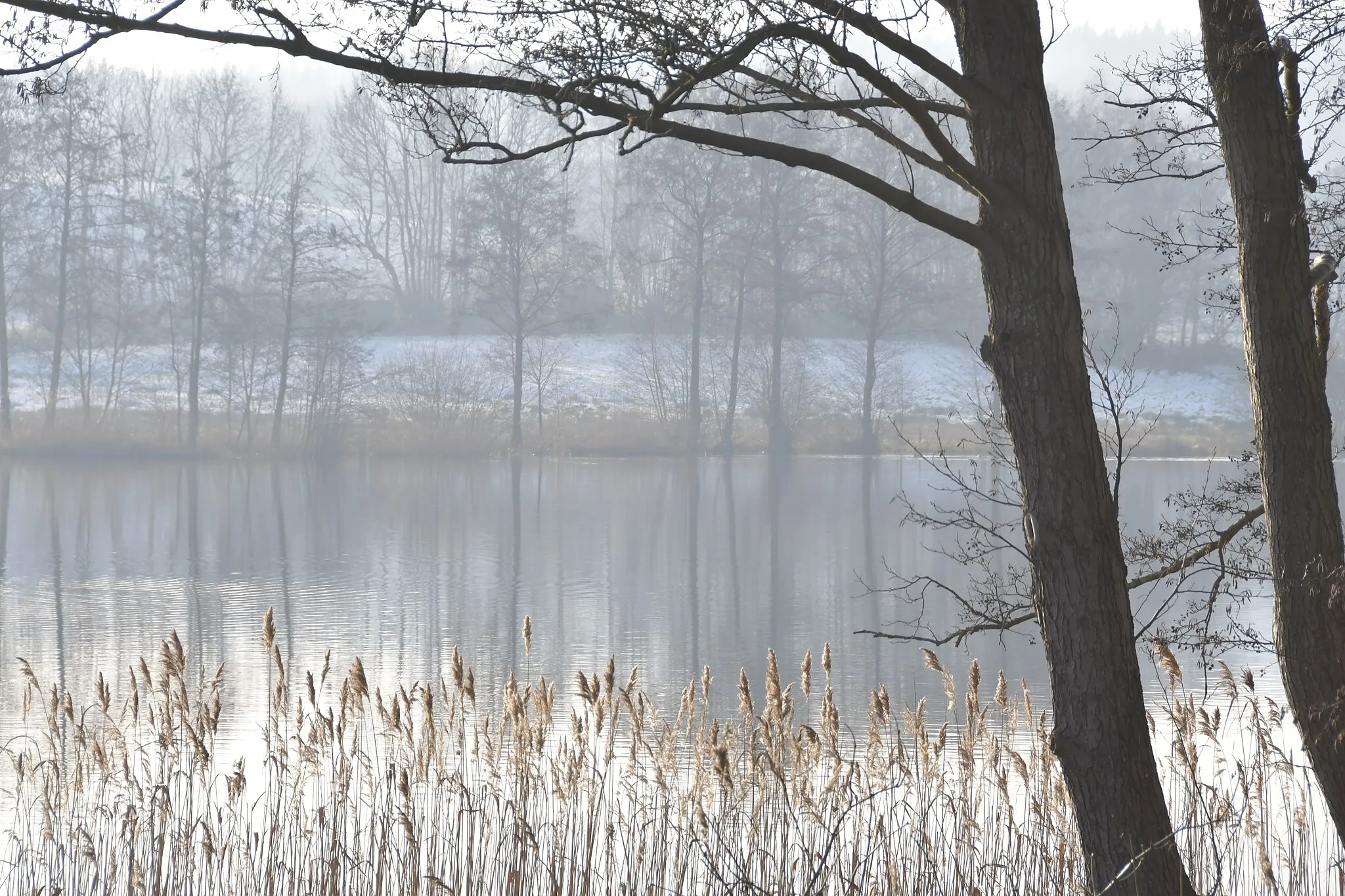 Photo showing: Auf dem Bild ist der Schierensee, welcher Teil des Naturparks Westensee ist, zu sehen. Das Foto wurde im Januar aufgenommen und zeigt trotz der Farblosigkeit beim ersten Betrachten die wahre Schönheit der Seenlandschaft um Westensee und Schierensee bei Winter.