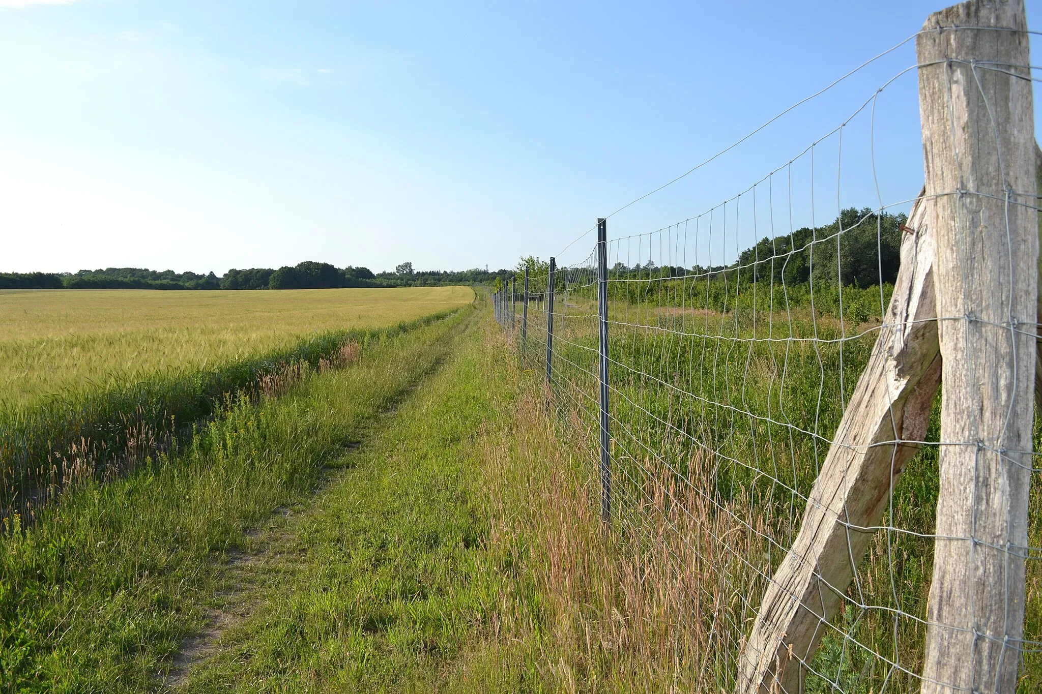 Photo showing: Bild von der Strecke Kiel-Westensee (Naturpark Westensee)