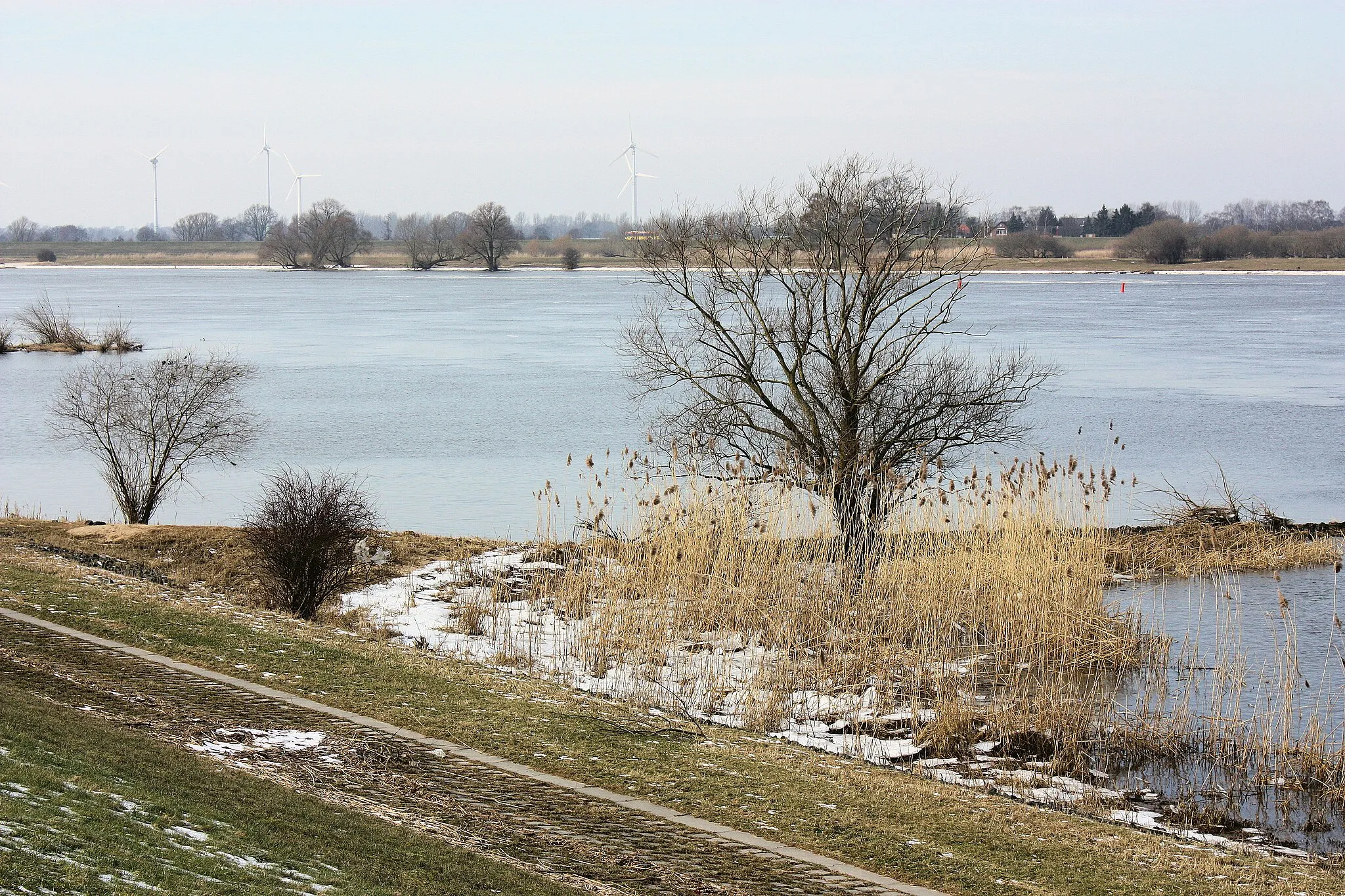 Photo showing: Drennhausen (Drage), the Elbe river