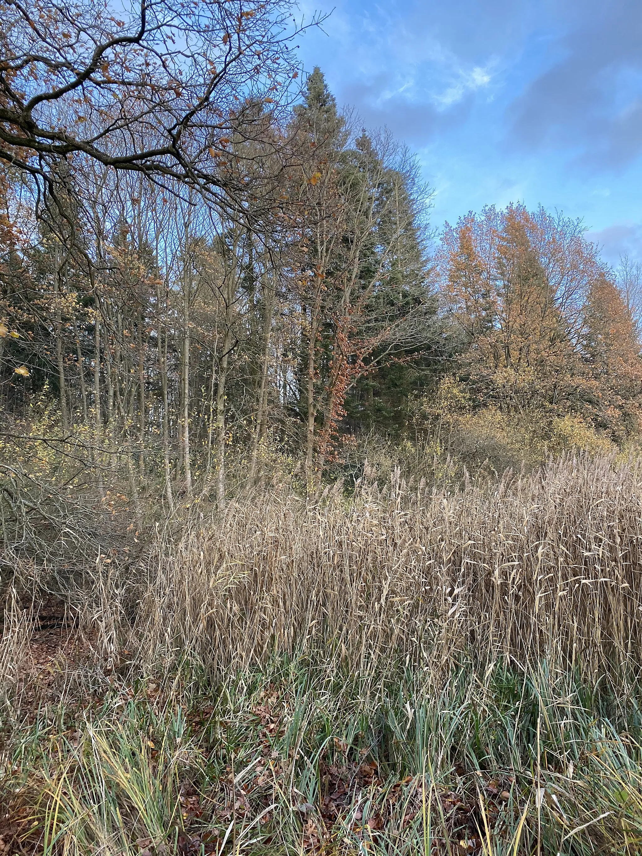 Photo showing: Felde, Kreis Rendsburg-Eckernförde