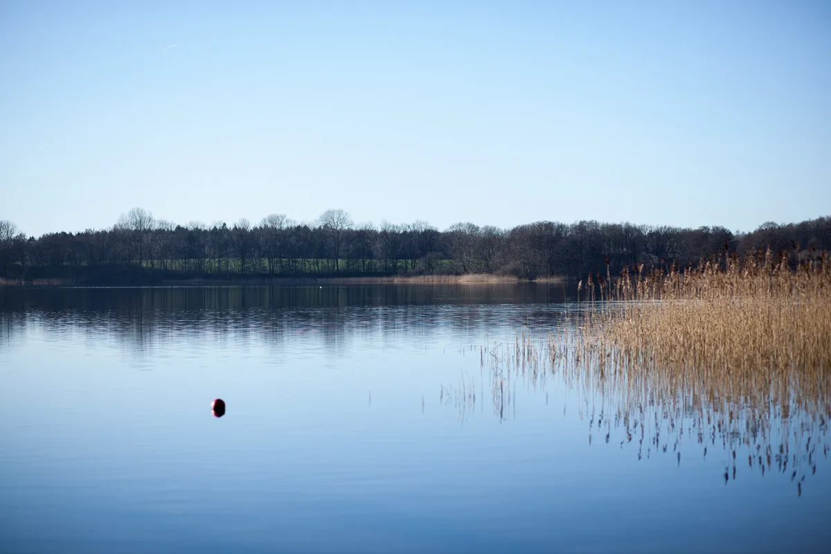 Photo showing: Bistensee