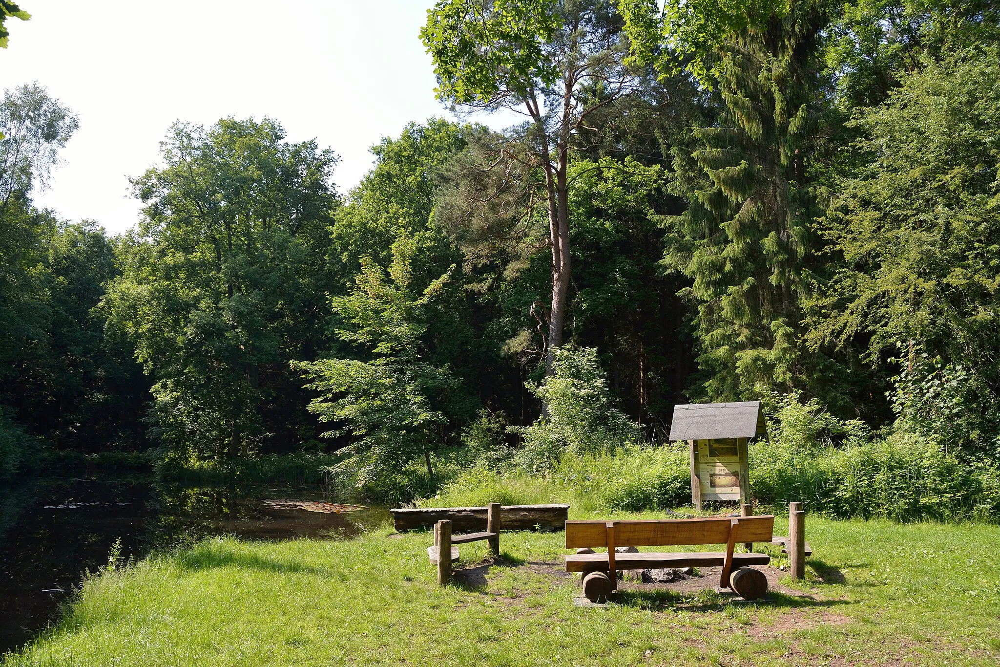 Photo showing: Impressionen von einem kleinen Grillplatz im Wald Hasselbusch bei Mönkloh.Zwischen zwei Teichen befindet sich ein gemauerter Grill, eine mit Steinen eingefasste offene Feuerstelle und mehrere Sitzmöglichkeiten. Allerdings keine Überdachung, bei Regen also... Auch befindet sich dort eine Quelle, die innerhalb des Waldes verrohrt ist und durch einen ausgehöhlten Baumstamm in die Teiche fliesst.