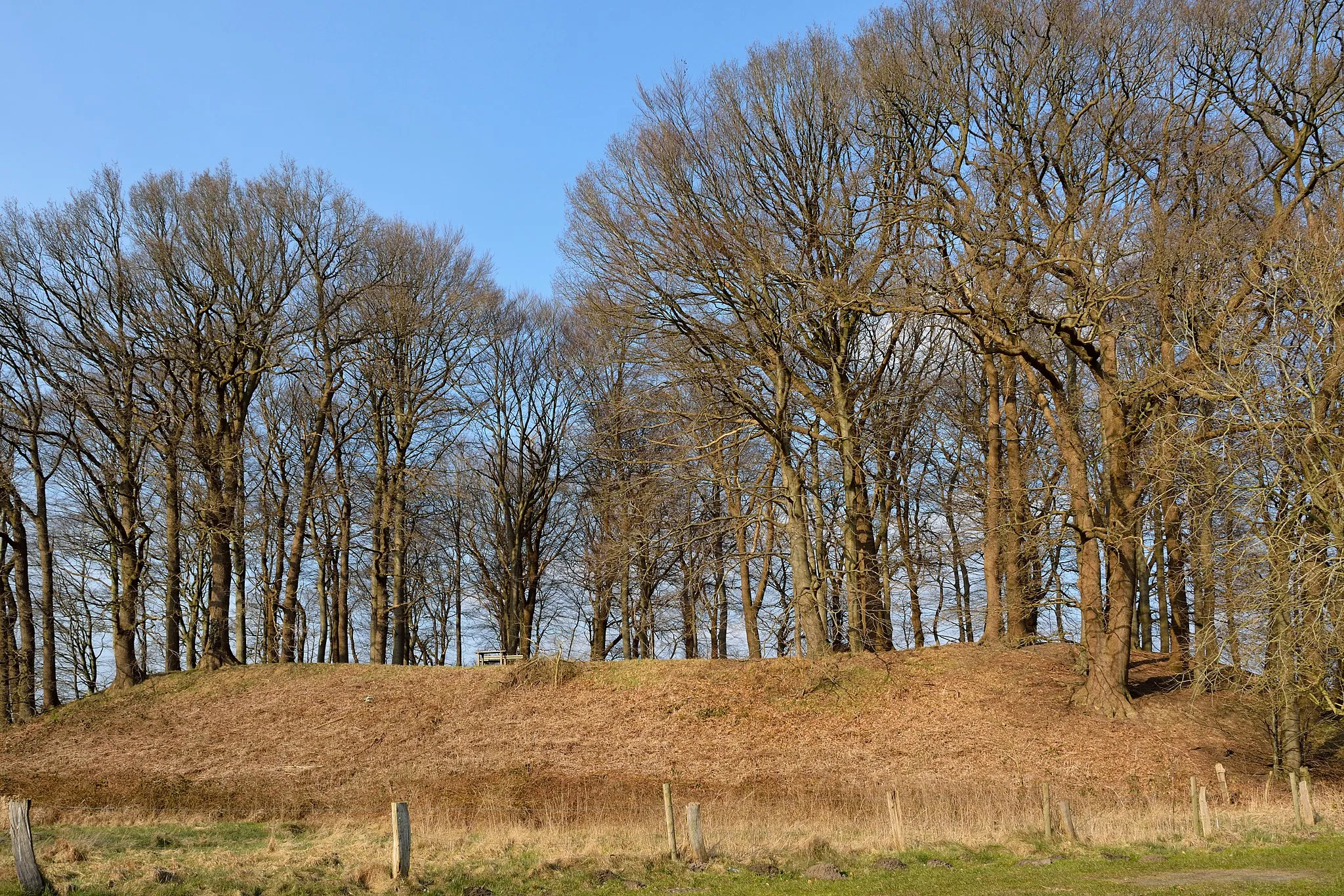 Photo showing: Der Wallberg in Willenscharen ist eine alte sächsische Ringwallburg.

Blick von aussen auf den Wallberg.