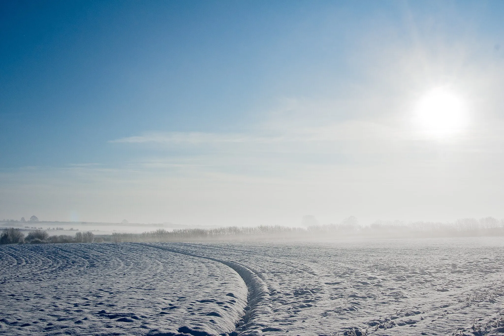 Photo showing: It is rarely seen near my hometown: winter in November. Somehow ... unreal