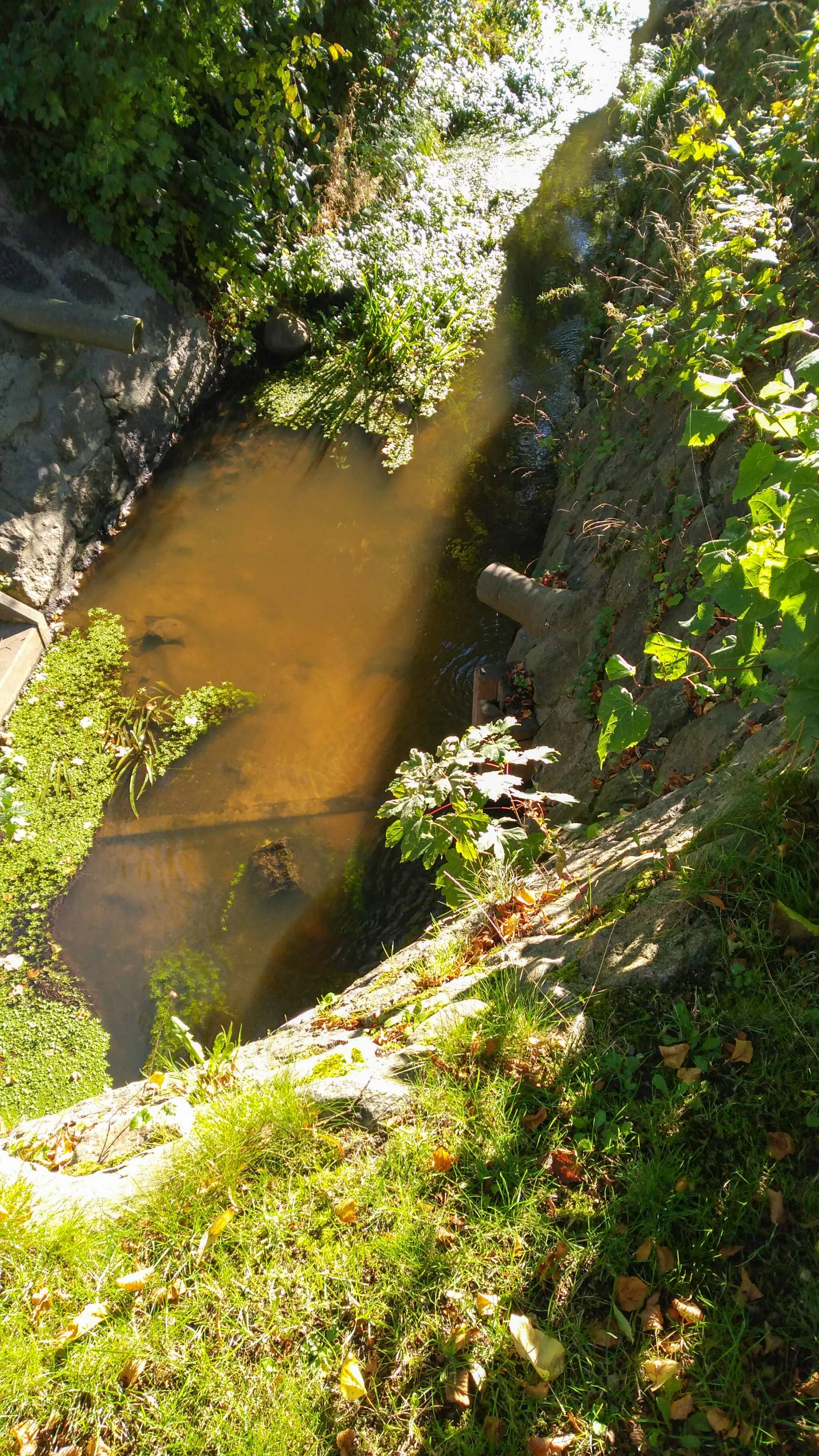 Photo showing: An der Brücke über die Kielstau in Ausacker