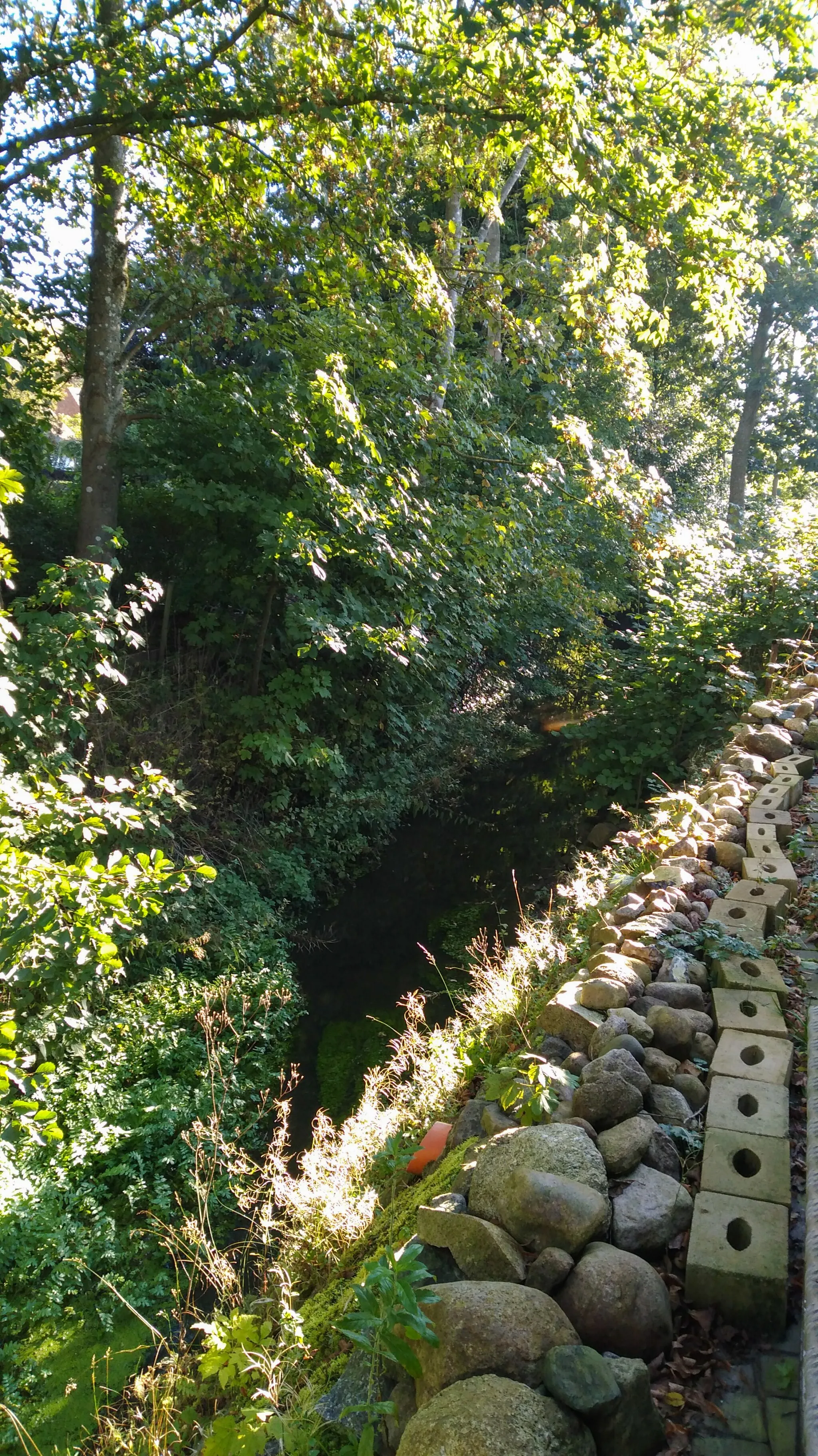 Photo showing: An der Brücke über die Kielstau in Ausacker