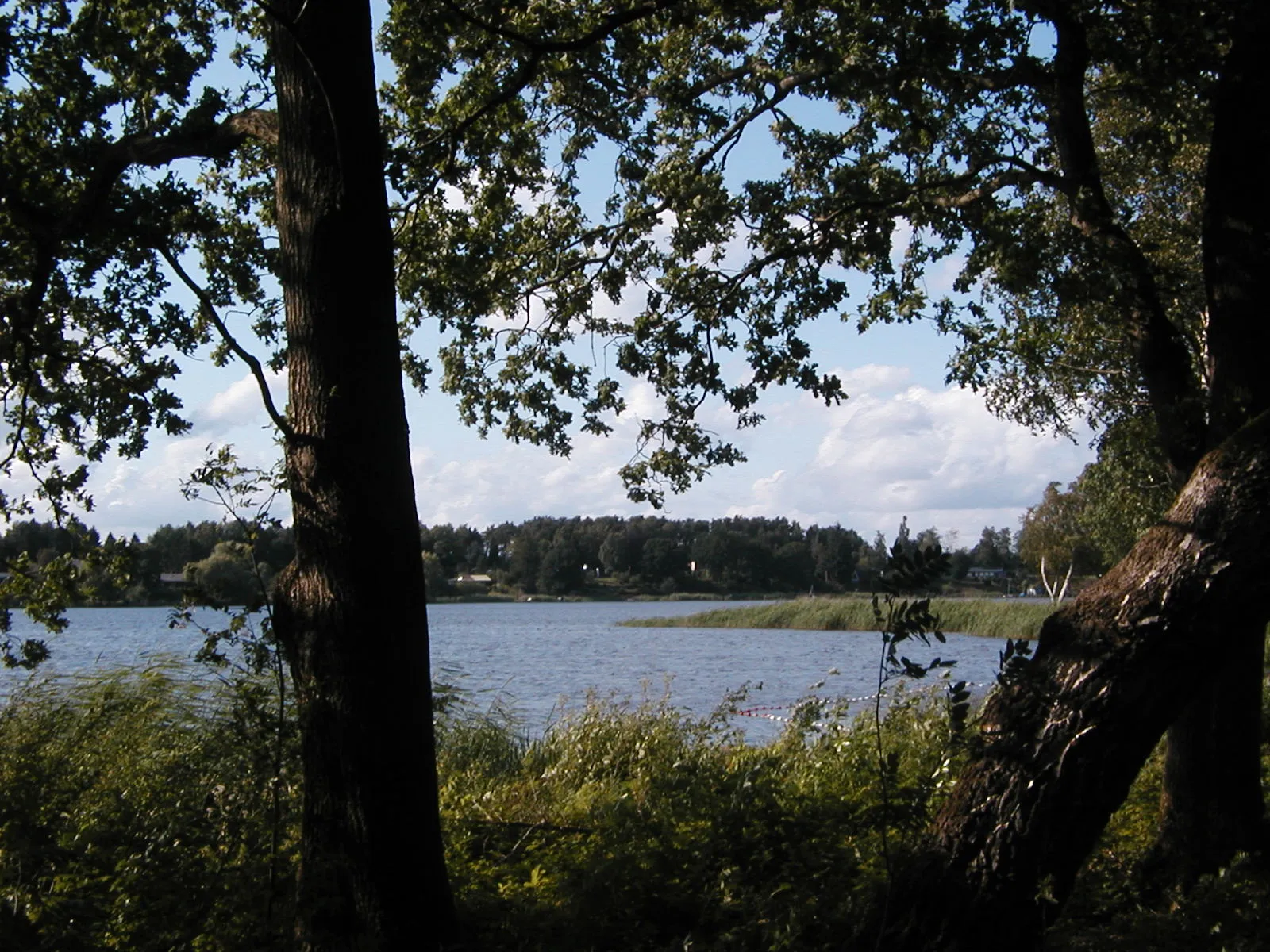 Photo showing: Der Brahmsee in Schleswig-Holstein, vom Ostufer gesehen