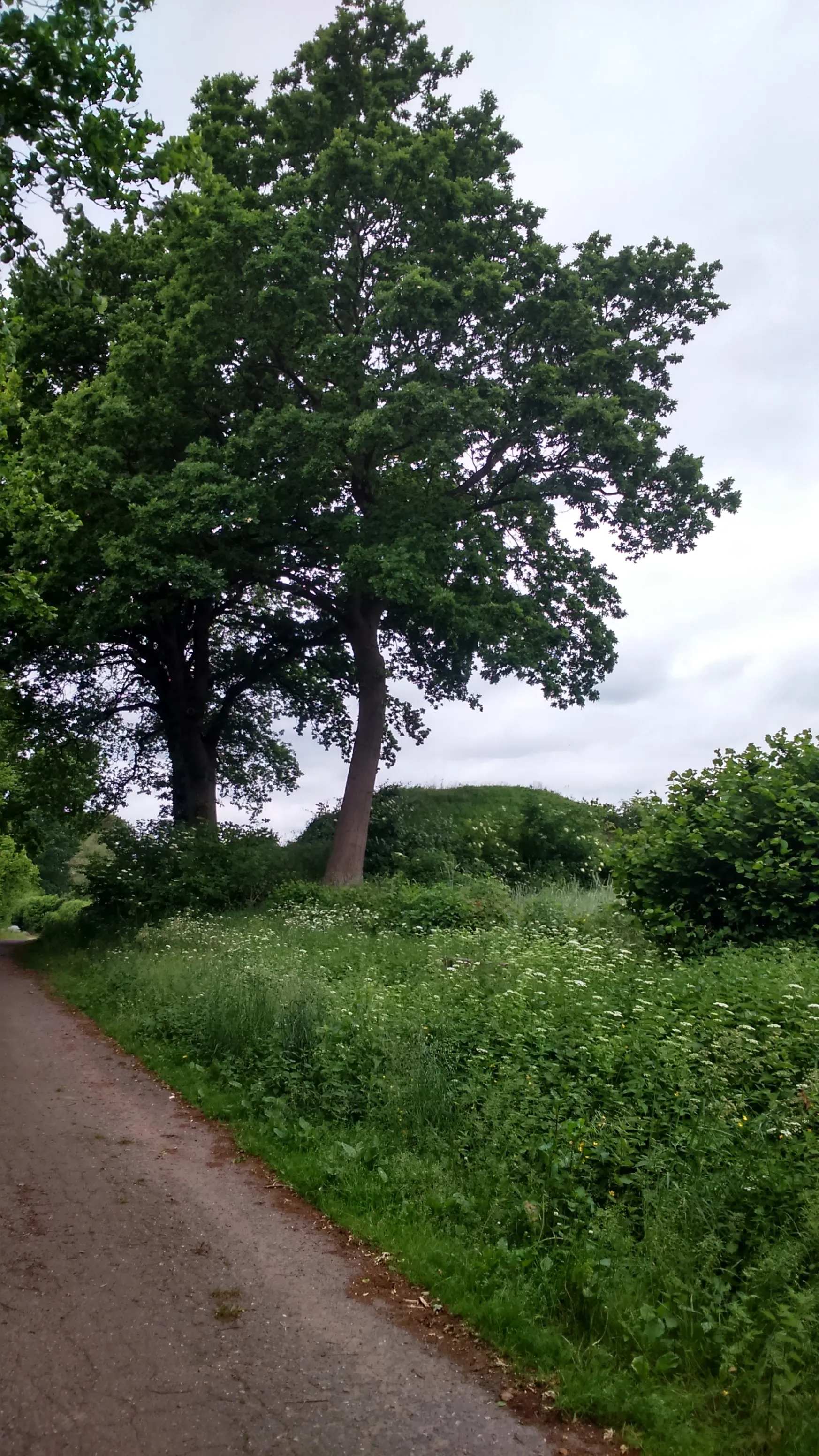 Photo showing: Denkmalgeschützter Grabhügel in Bebensee