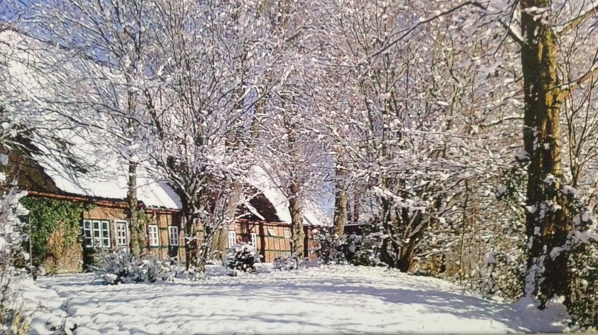 Photo showing: Winterliche Impressionen aus Wiemersdorf in Schleswig-Holstein.