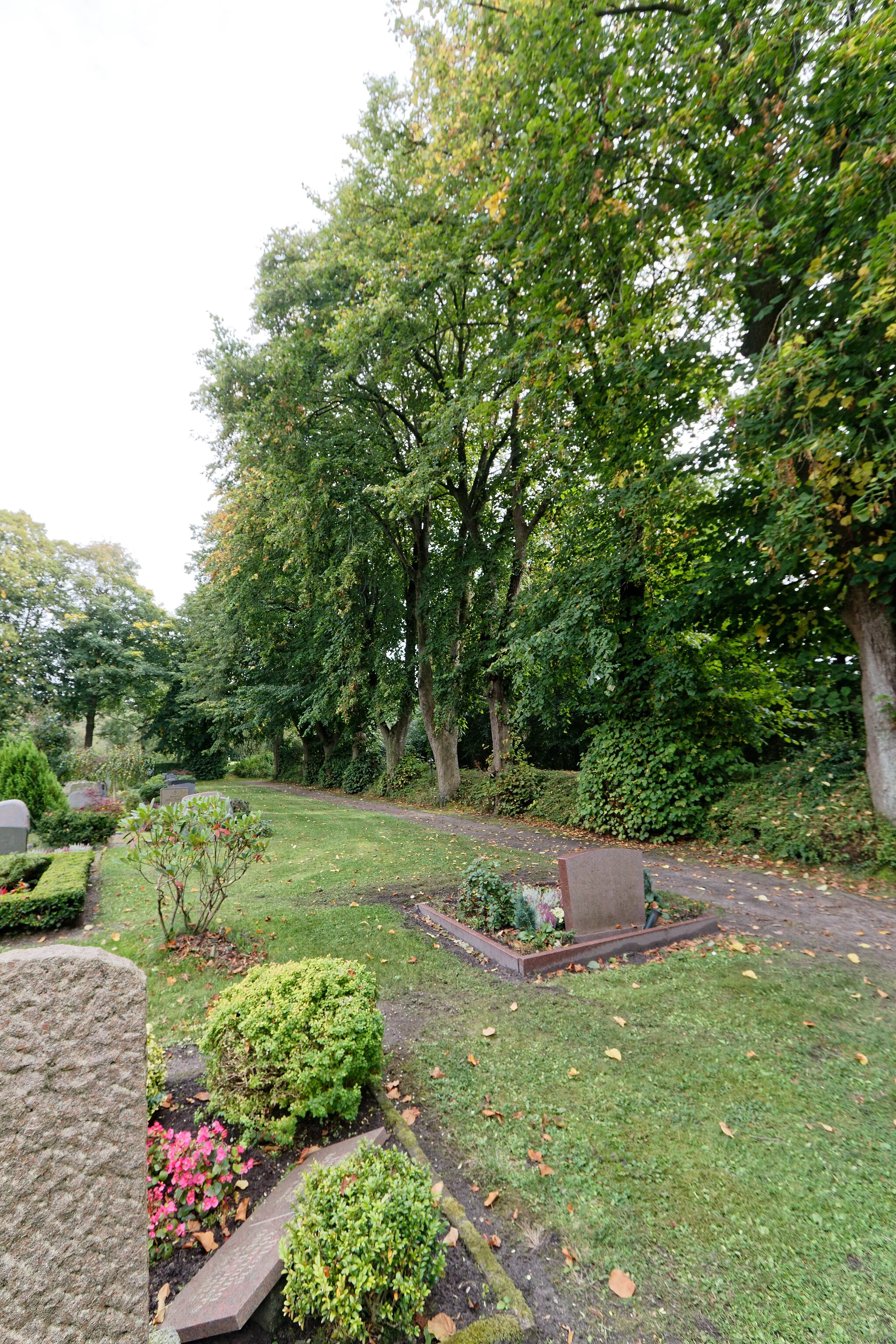 Photo showing: Nordhackstedt, Kirche St.Jürgen; Lindenkranz