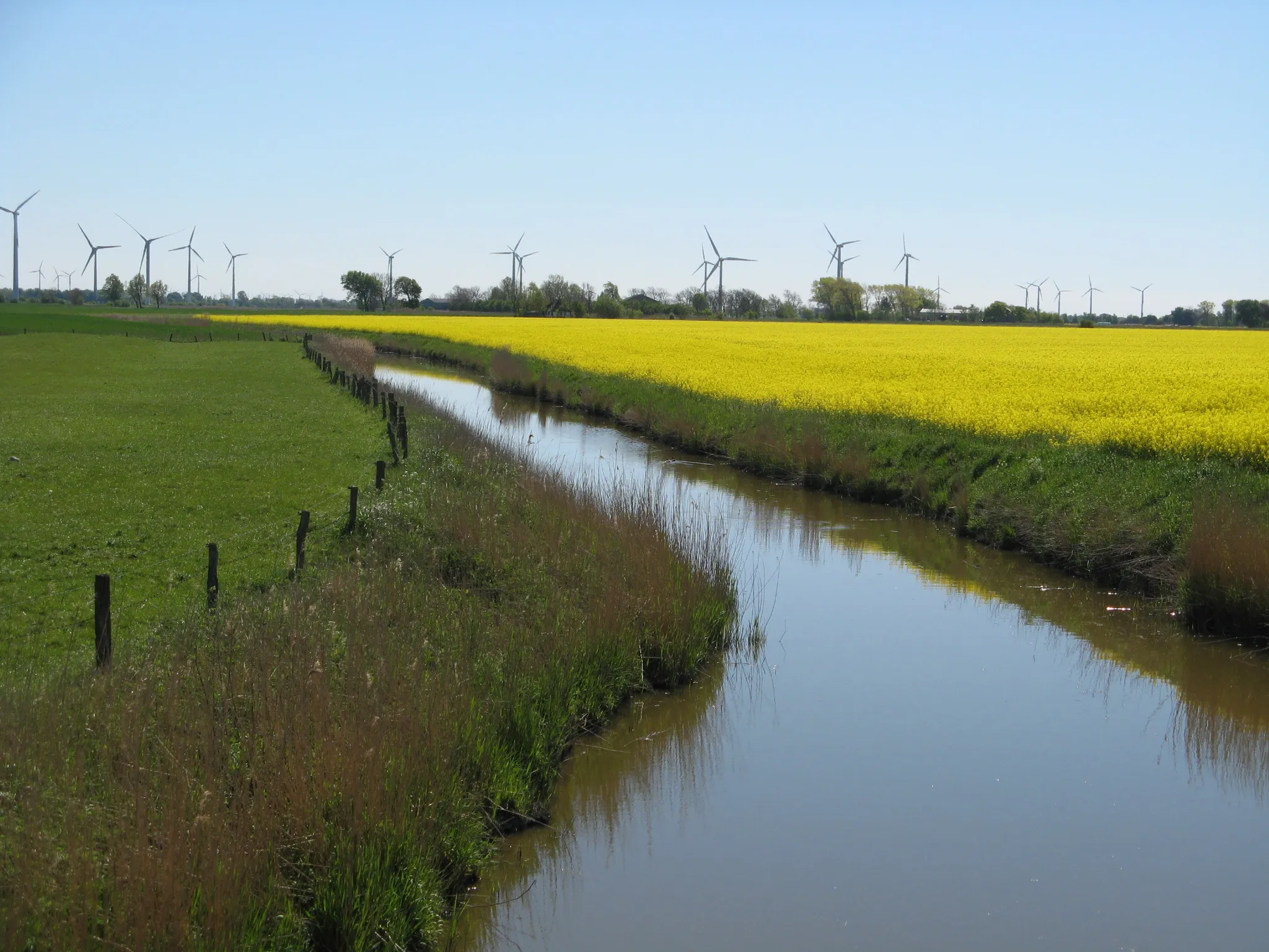 Photo showing: Entwässerungsgraben in Flederwurth, Groven

Author: Dirk Ingo Franke