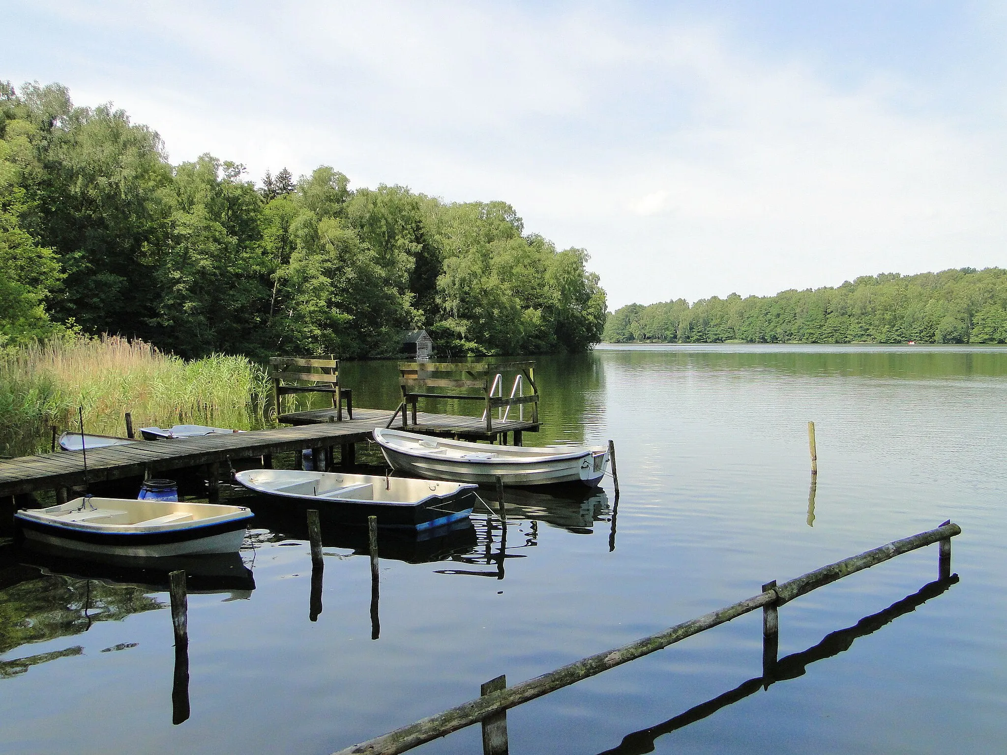 Photo showing: Lake Pipersee in/near Sterleyer Heide, disctrict Herzogtum Lauenburg, Schleswig-Holstein, Germany