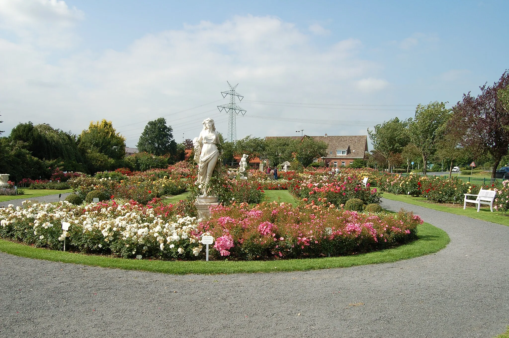 Photo showing: Der Rosenpark von W. Kordes’ Söhne